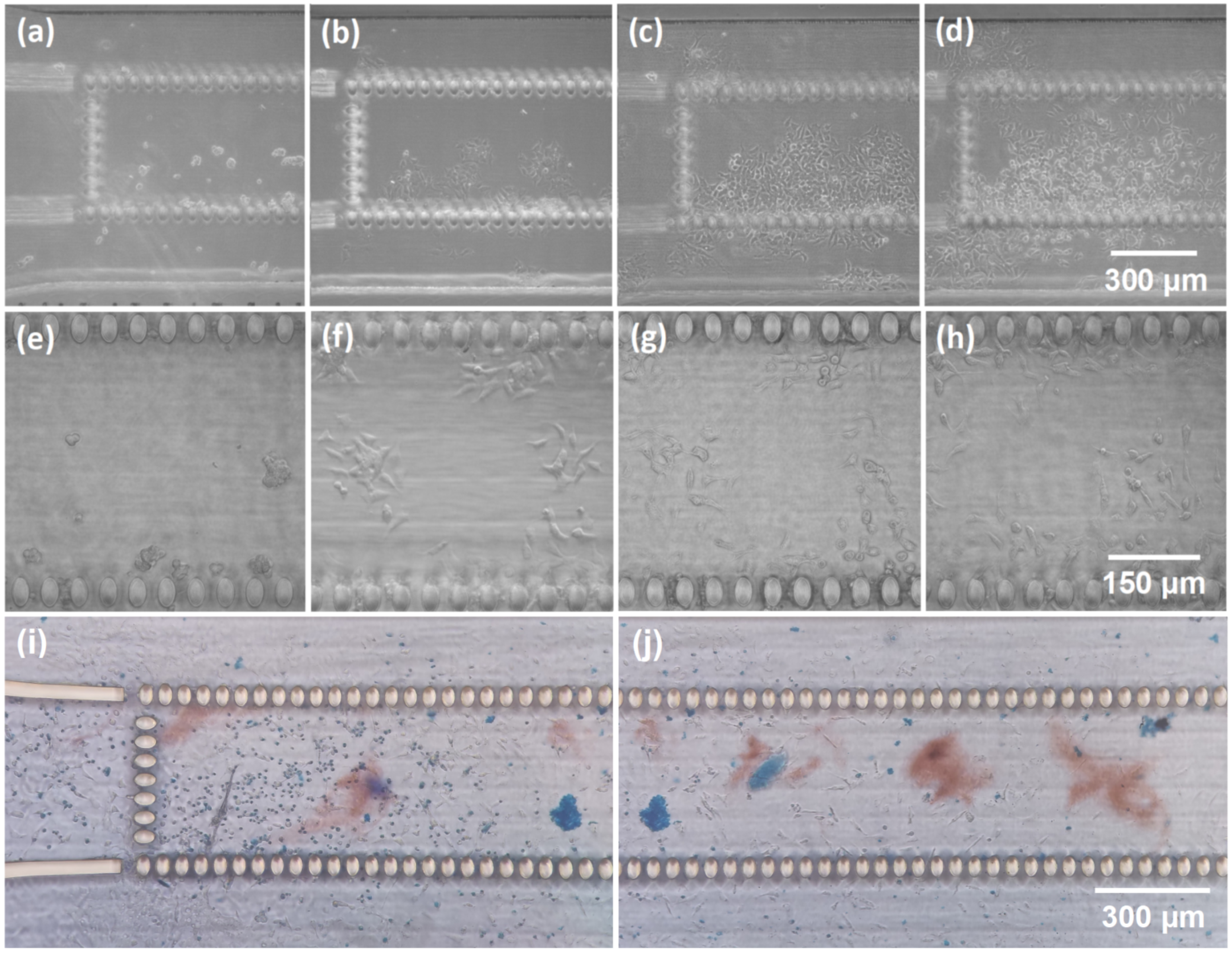 Materials 16 02174 g006 Materials 16 02174 g006