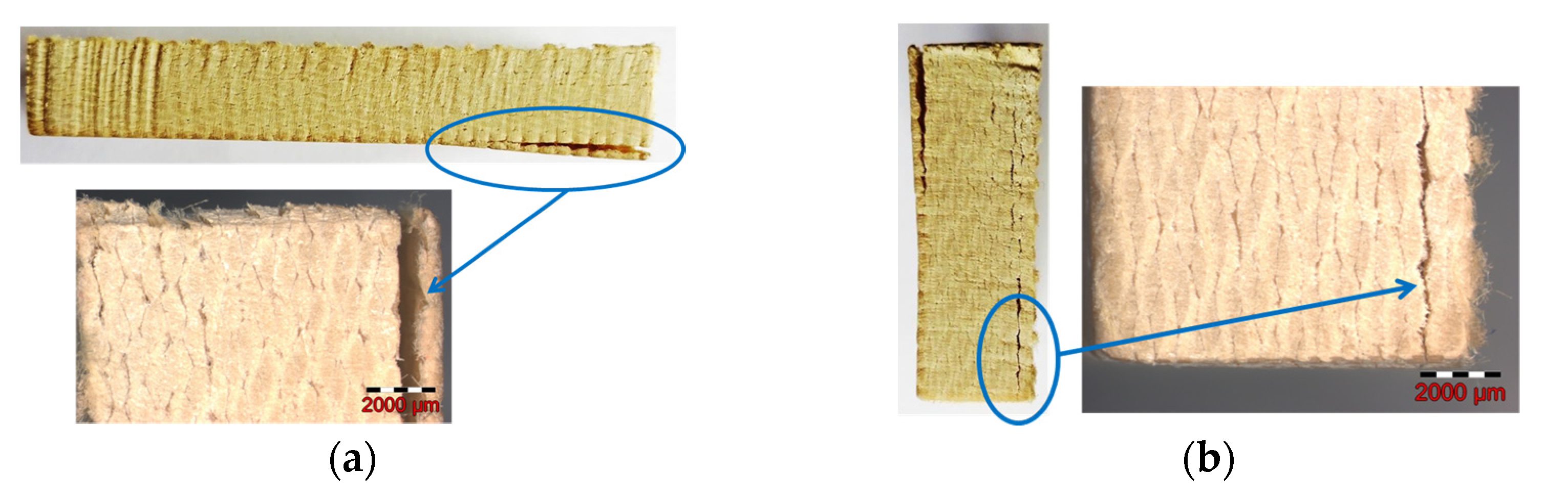 Materials 16 02182 g016 Materials 16 02182 g016