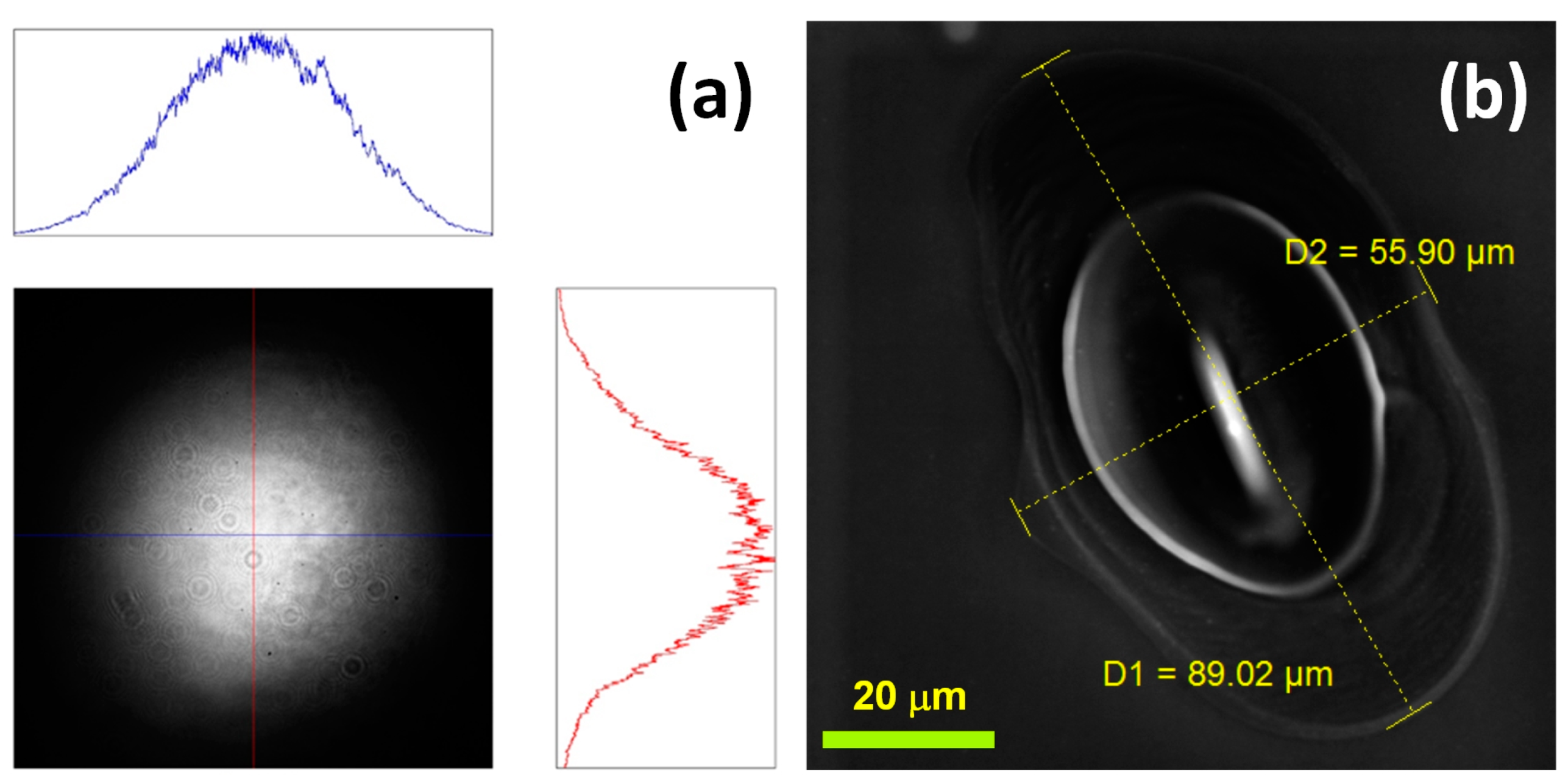 Materials 16 02184 g002 Materials 16 02184 g002