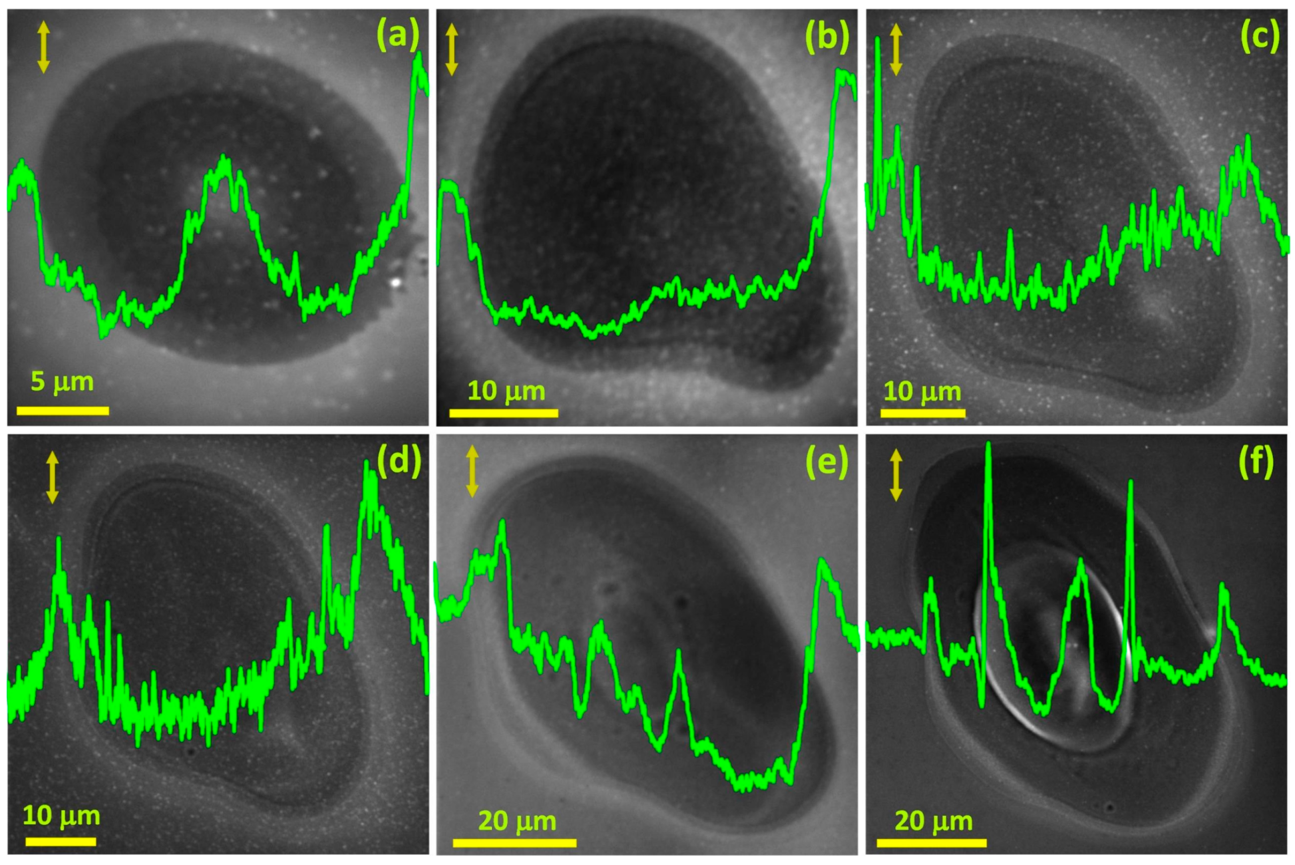 Materials 16 02184 g004 Materials 16 02184 g004
