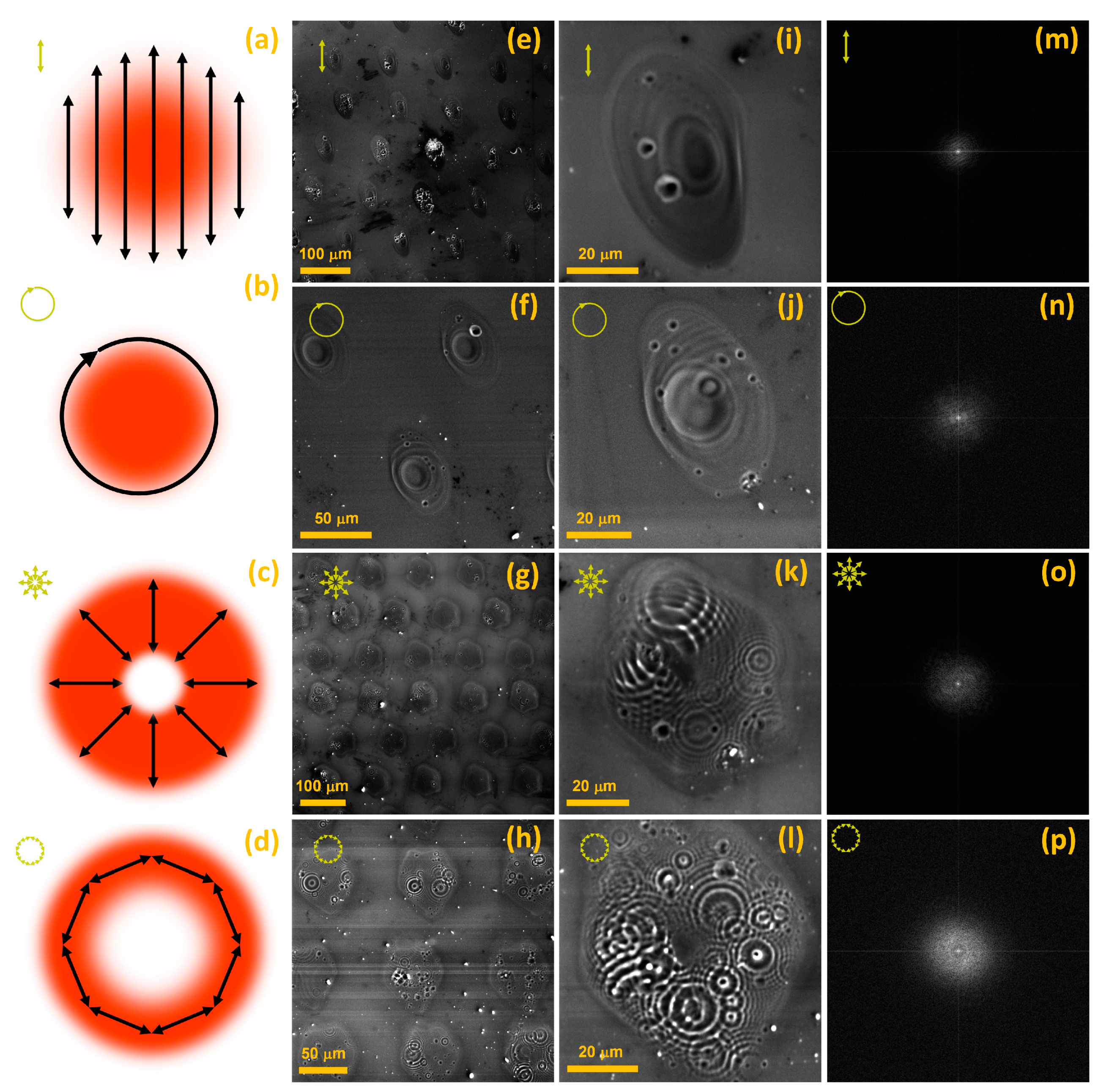 Materials 16 02184 g005 Materials 16 02184 g005
