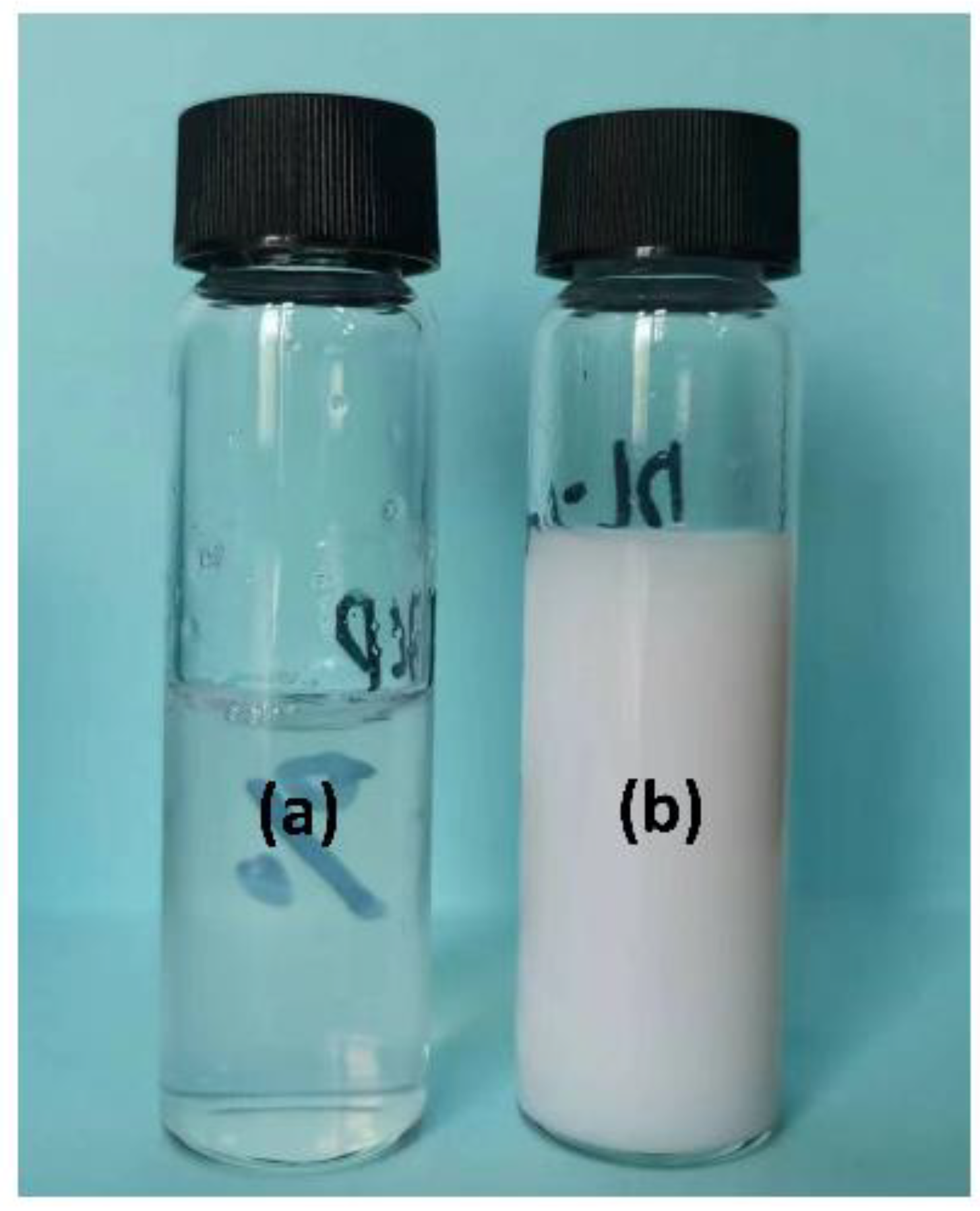 Materials 16 02190 g004 550