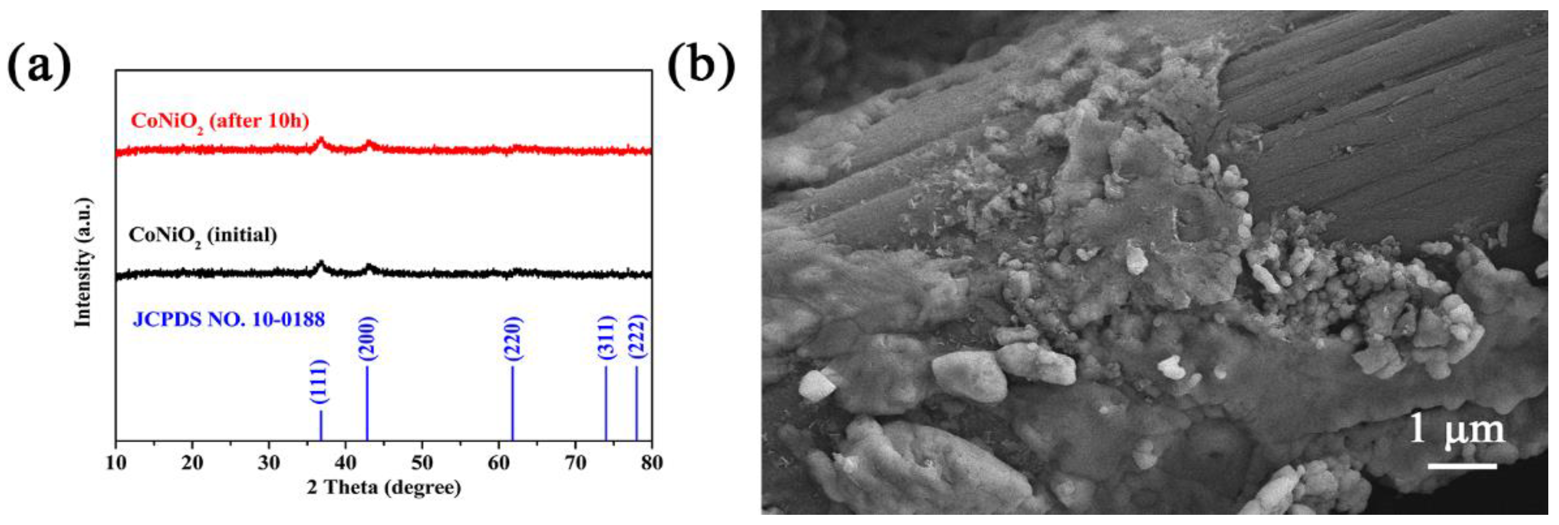 Materials 16 02204 g008