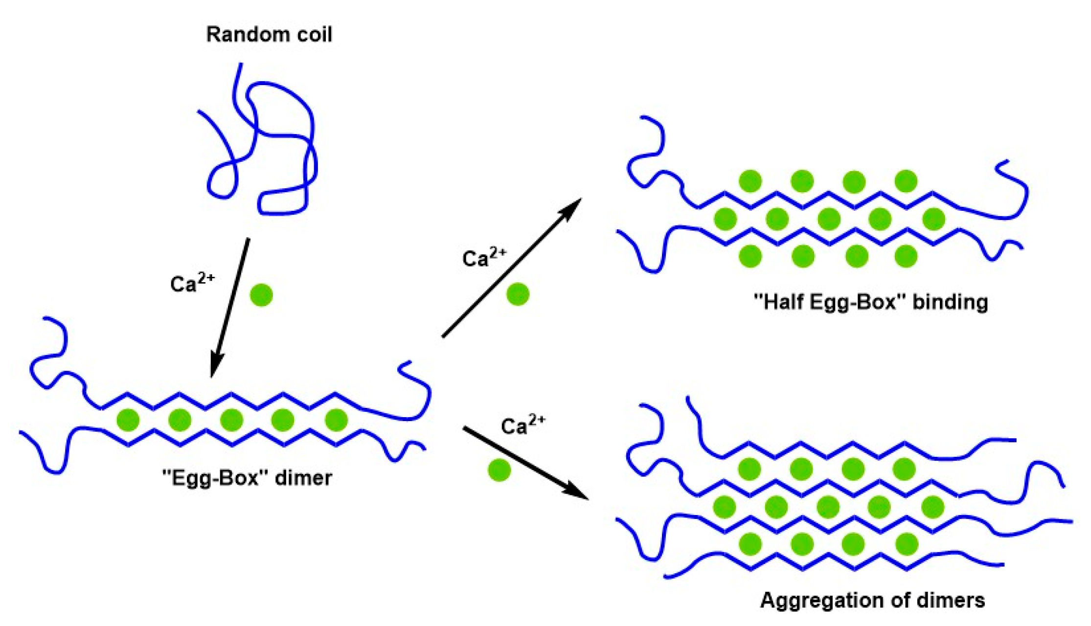 Materials Free FullText A Review of PectinBased Material for