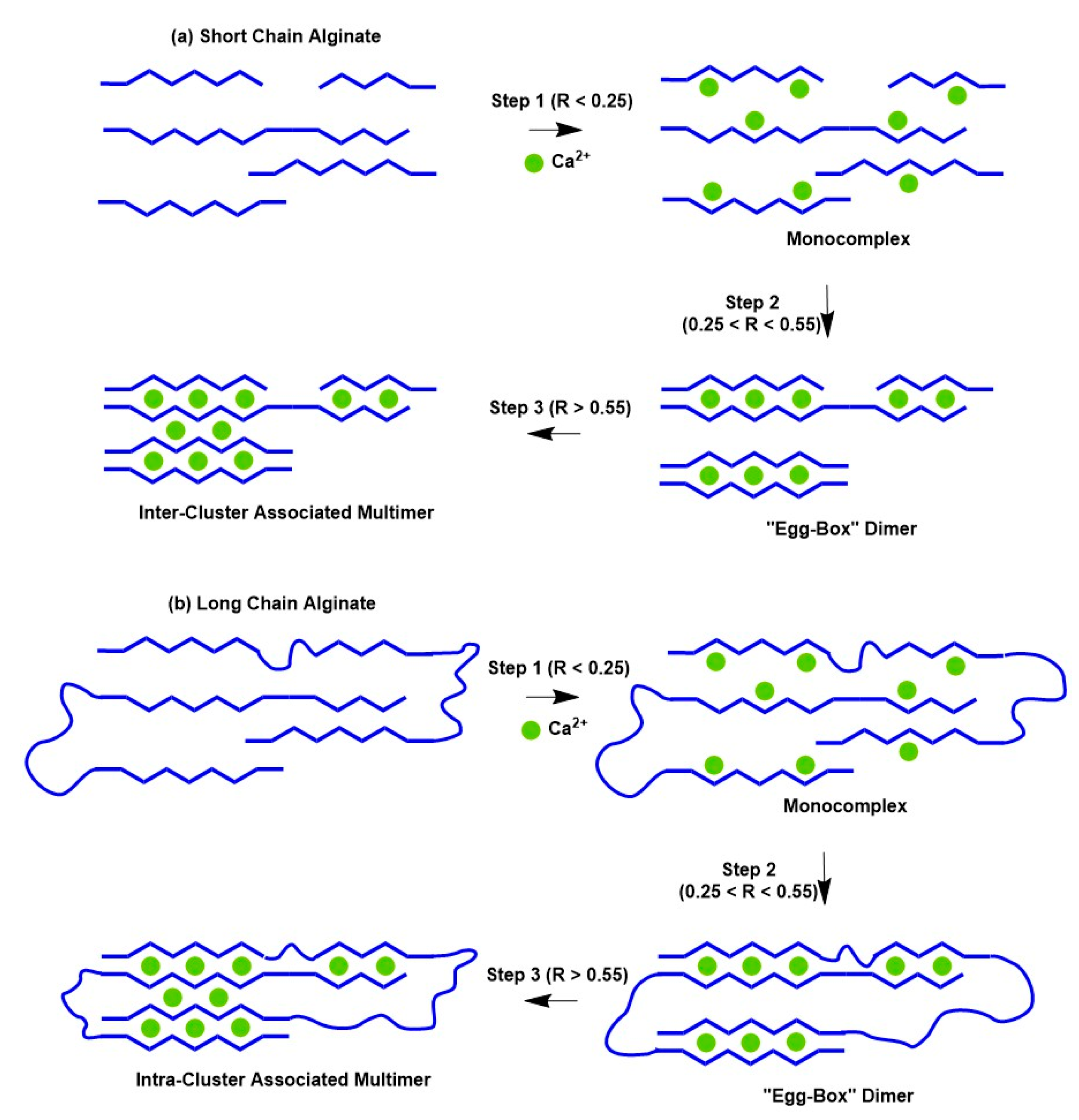 Materials 16 02207 g005