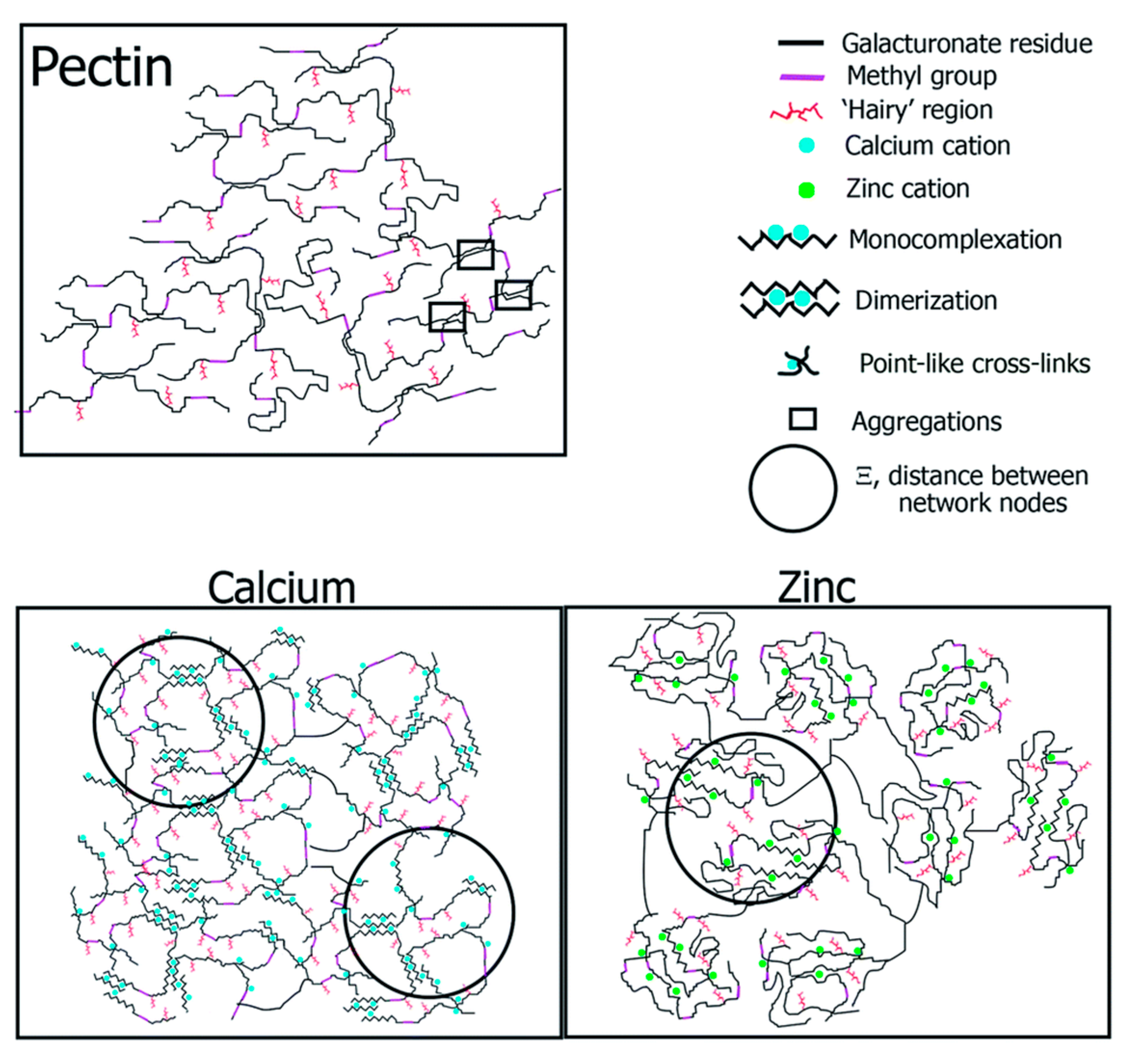 Materials Free FullText A Review of PectinBased Material for