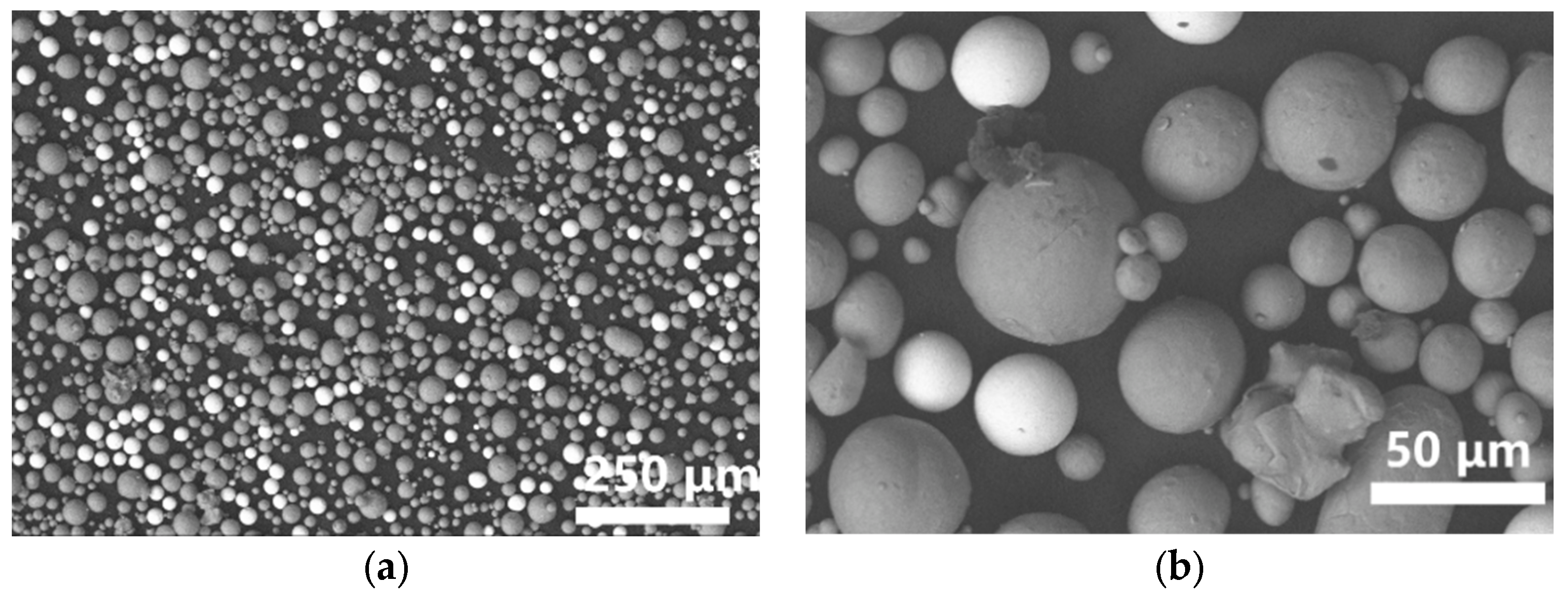 Materials 16 02208 g002a Materials 16 02208 g002a