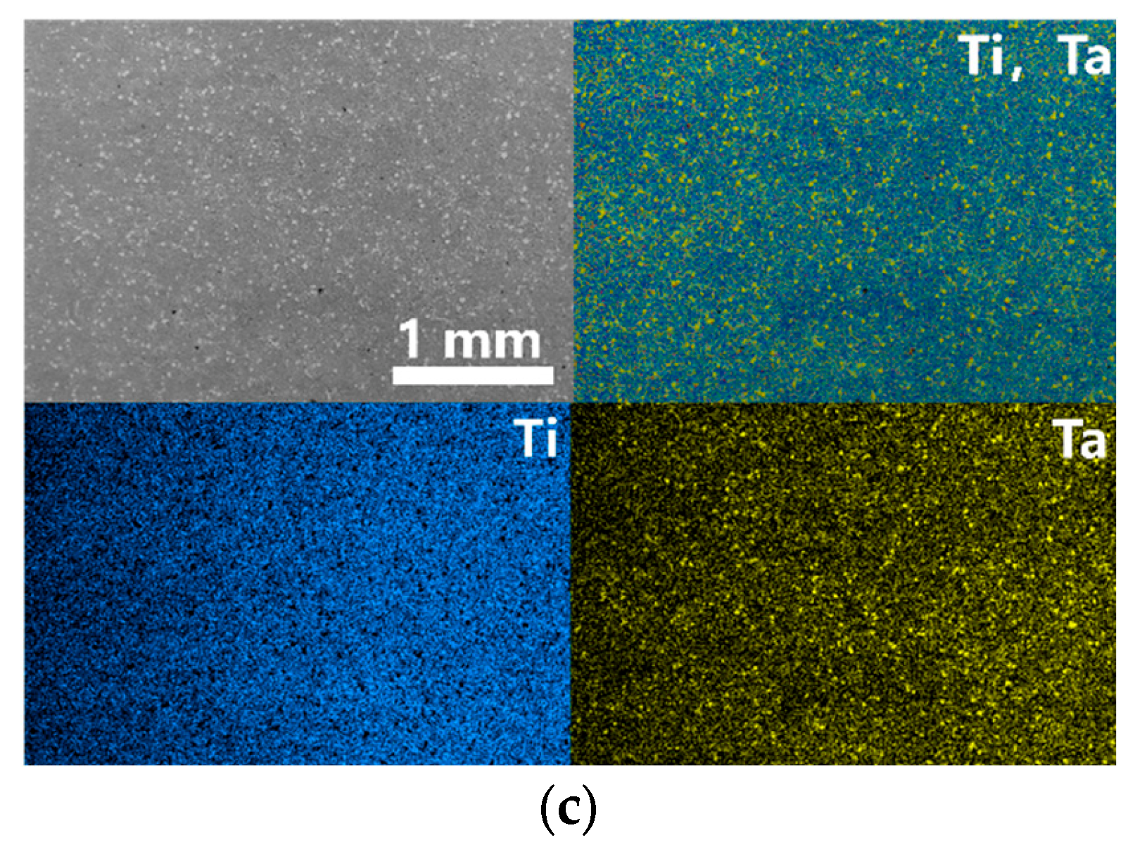Materials 16 02208 g006b Materials 16 02208 g006b