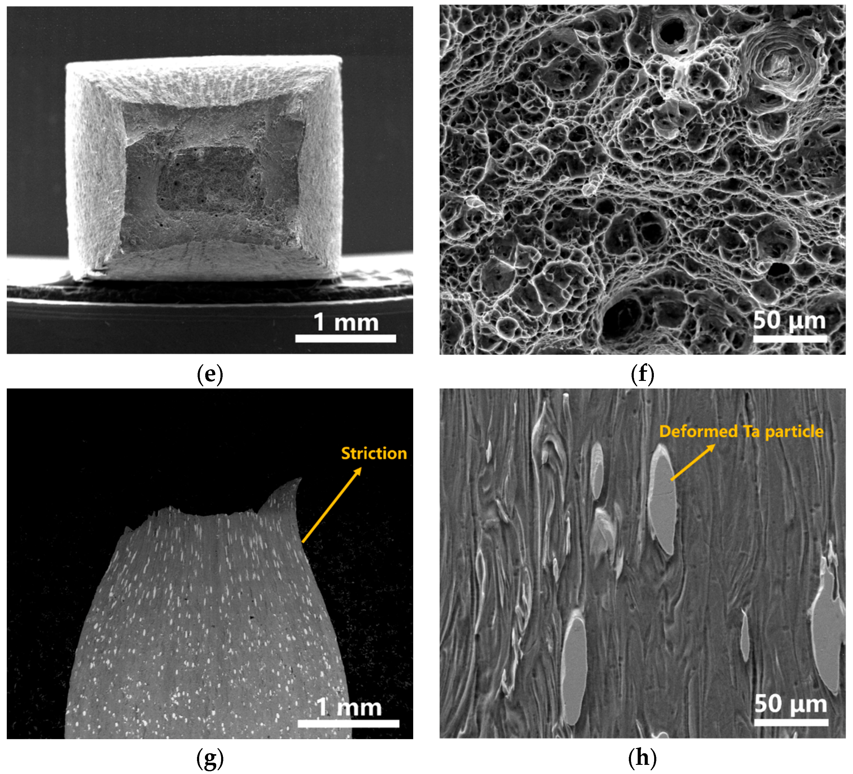 Materials 16 02208 g014b Materials 16 02208 g014b