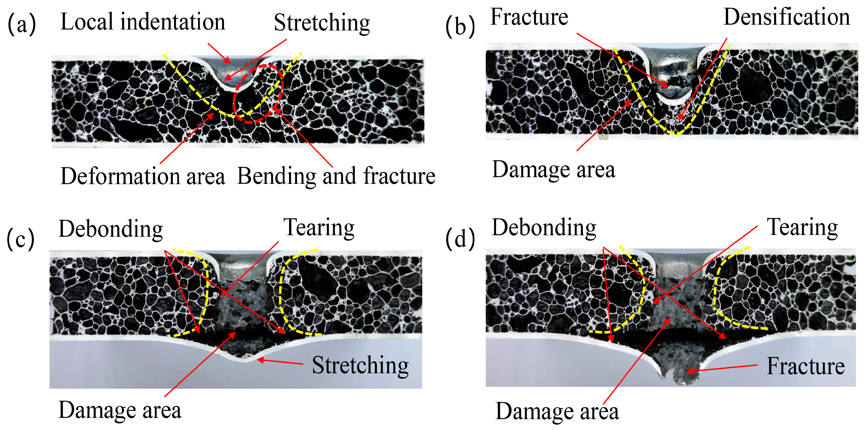 Materials 16 02221 g006 Materials 16 02221 g006
