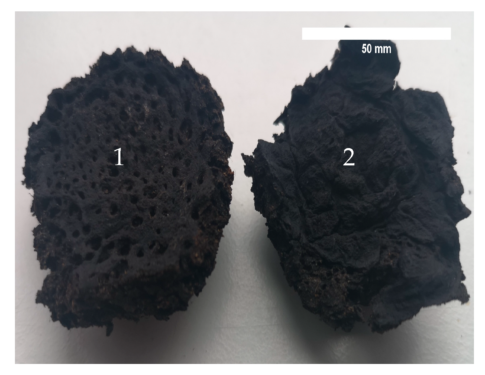 Materials 16 02230 g004 Materials 16 02230 g004