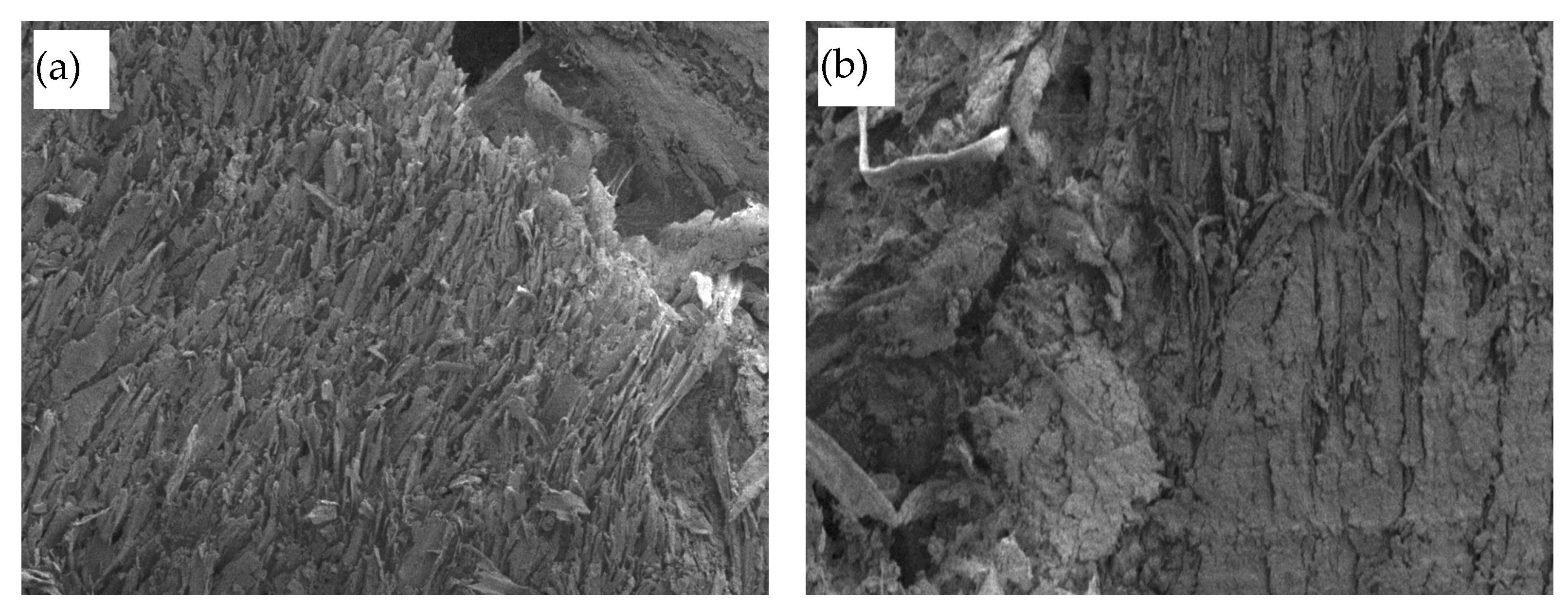 Materials 16 02230 g009a Materials 16 02230 g009a