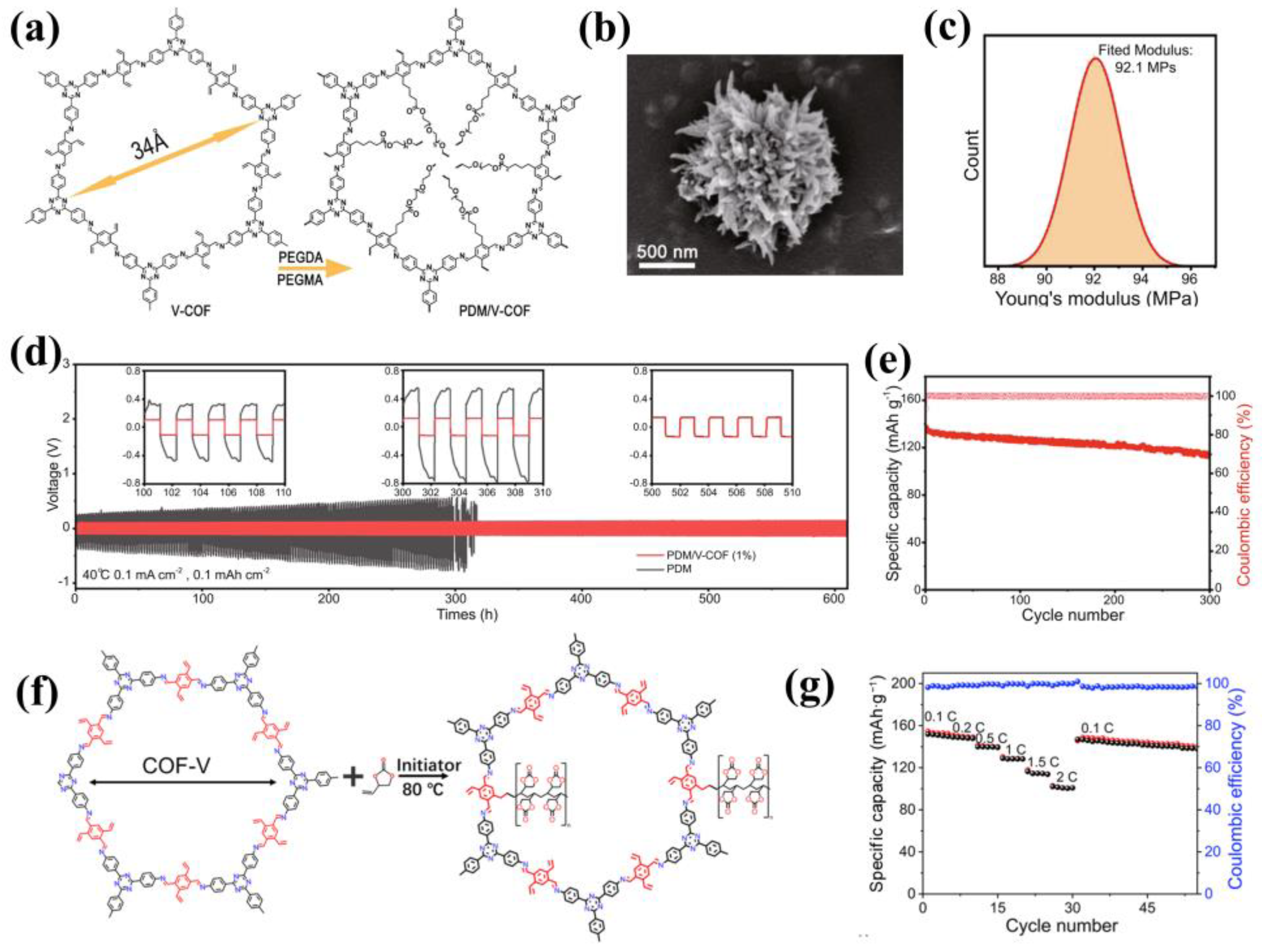 Materials 16 02240 g016 Materials 16 02240 g016