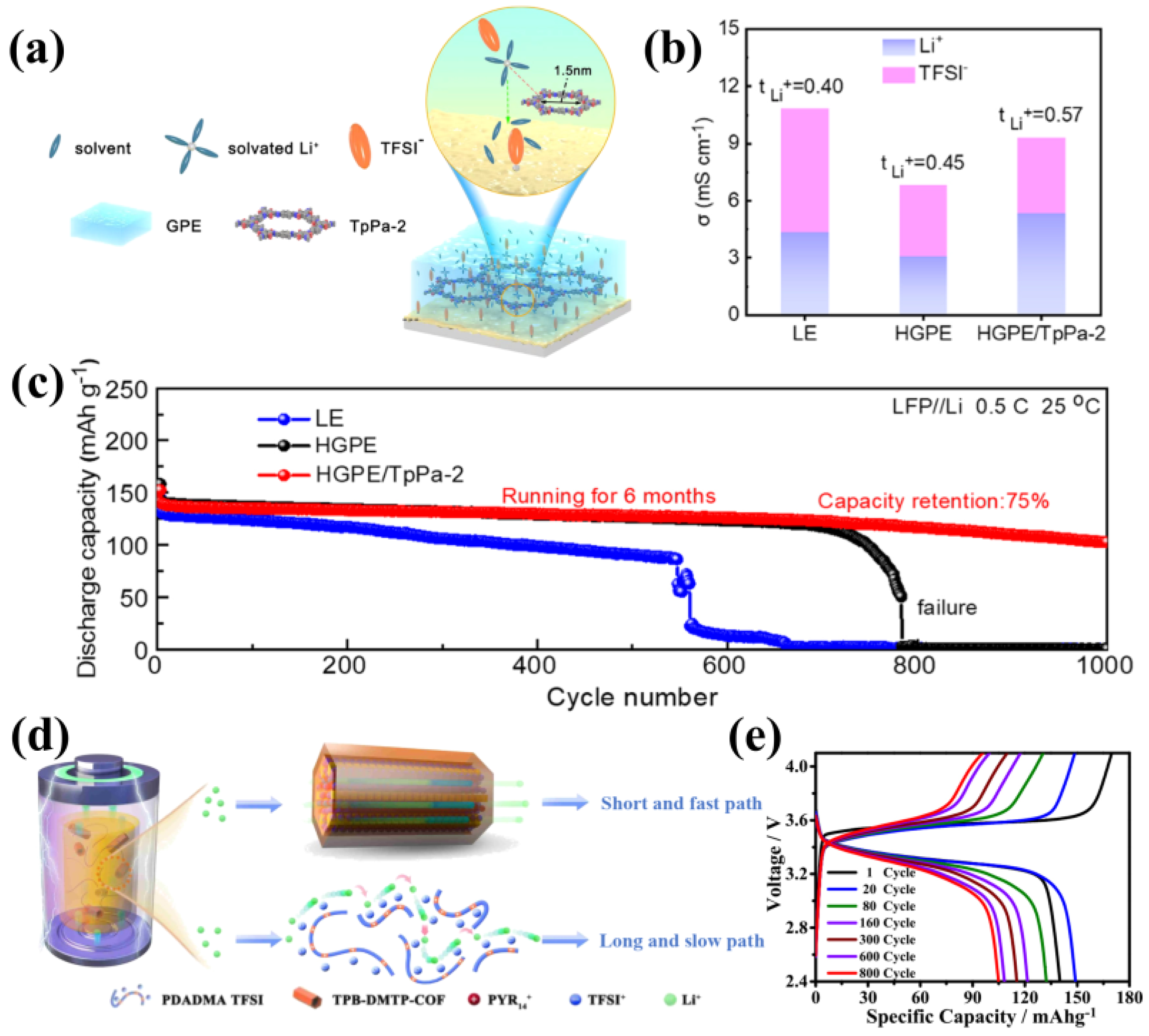 Materials 16 02240 g017 Materials 16 02240 g017