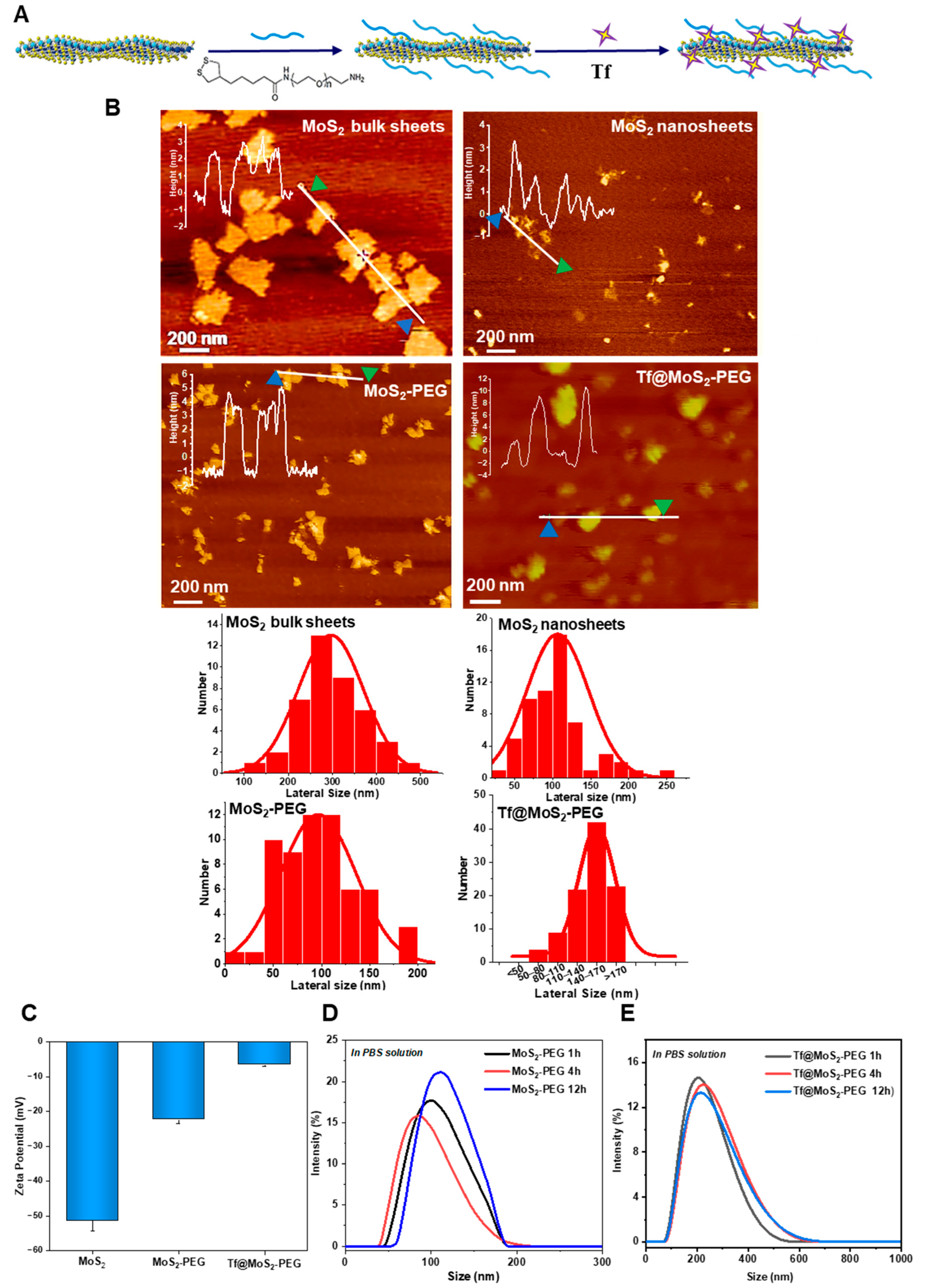 Materials 16 02277 g001 Materials 16 02277 g001