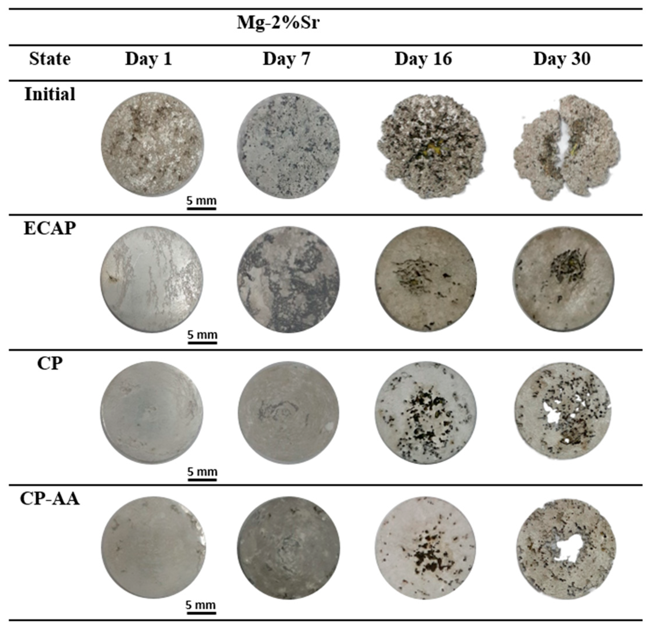 Materials 16 02279 g006 Materials 16 02279 g006