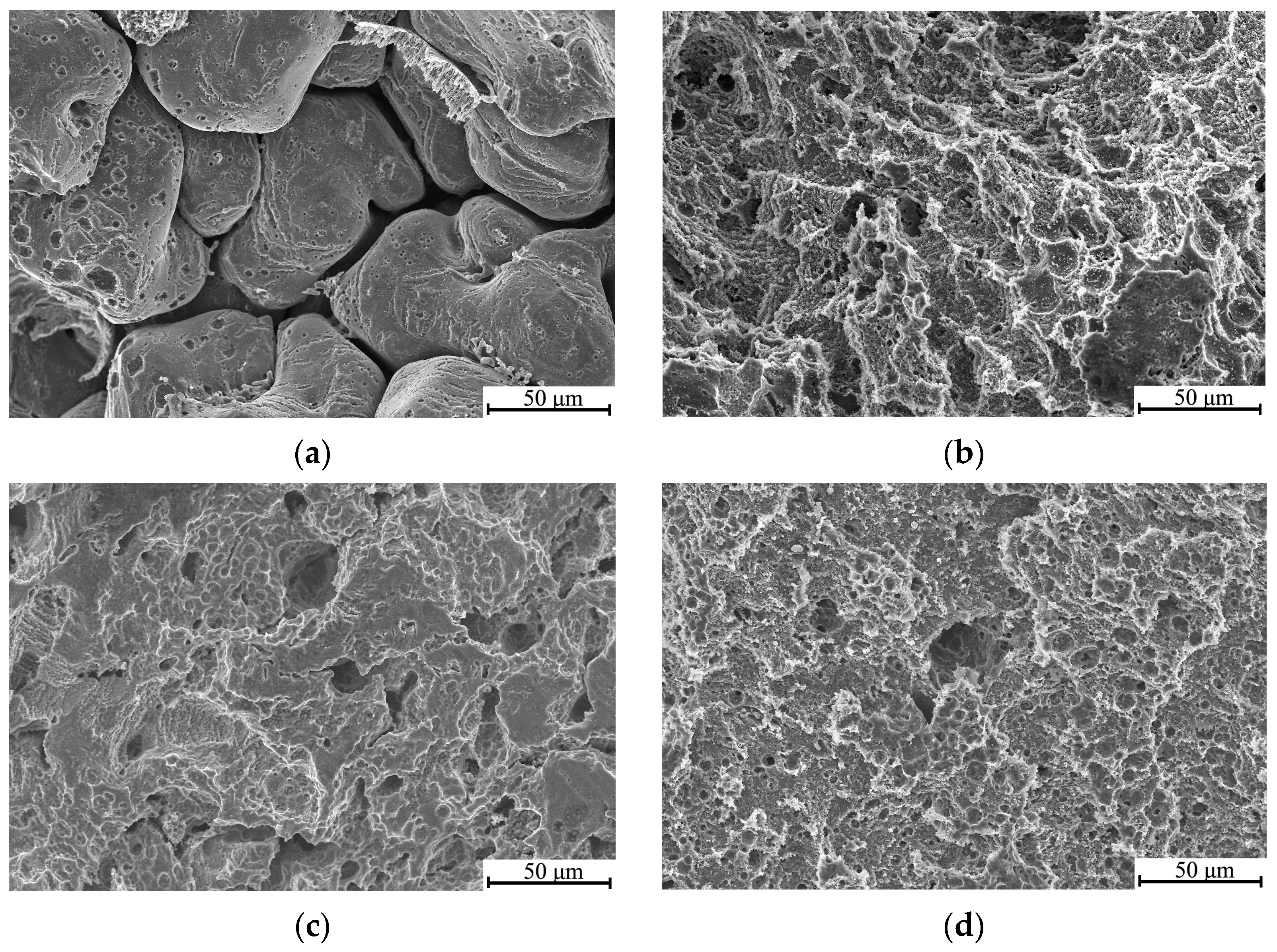 Materials 16 02279 g008 Materials 16 02279 g008