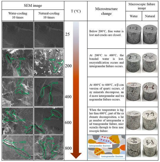 Materials Free FullText Study on the Evolution of Physical