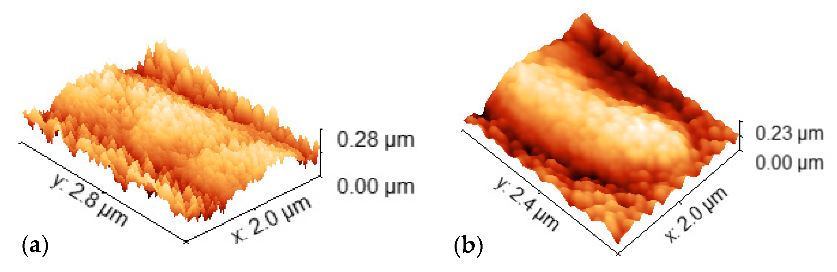 Materials 16 02315 g004 Materials 16 02315 g004