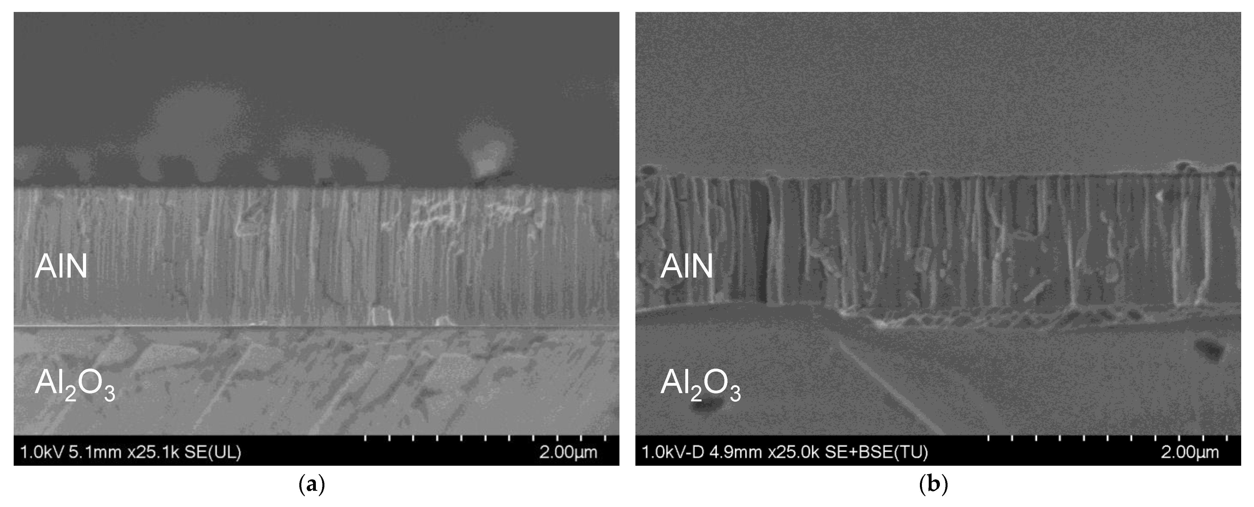 Materials 16 02319 g007 Materials 16 02319 g007