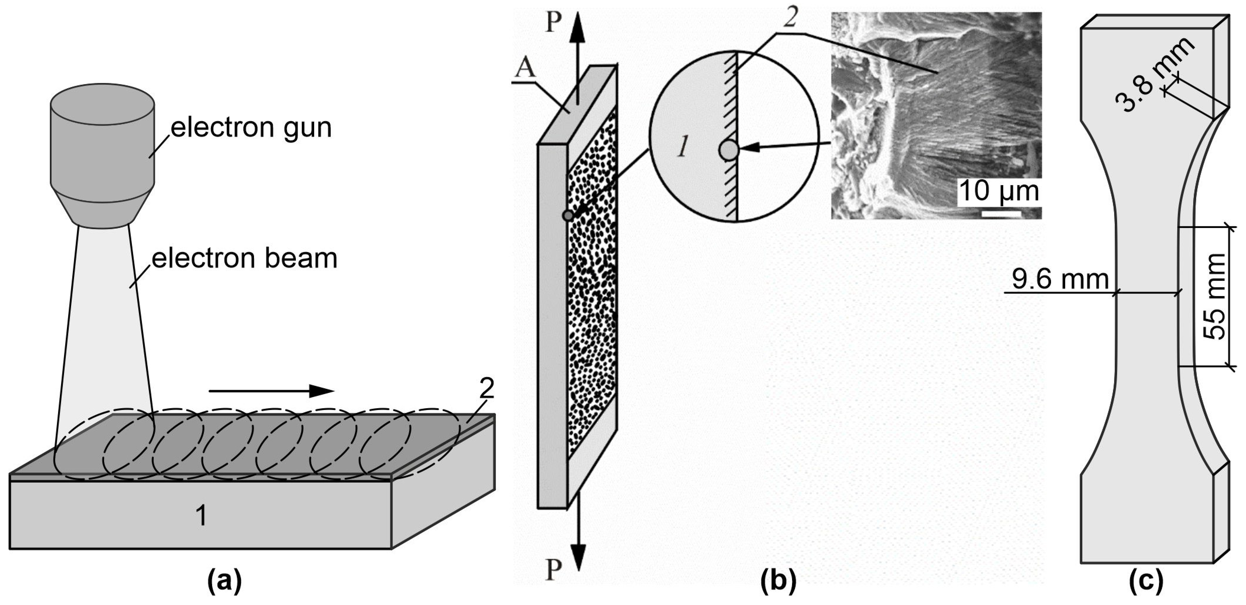 Materials 16 02329 g001