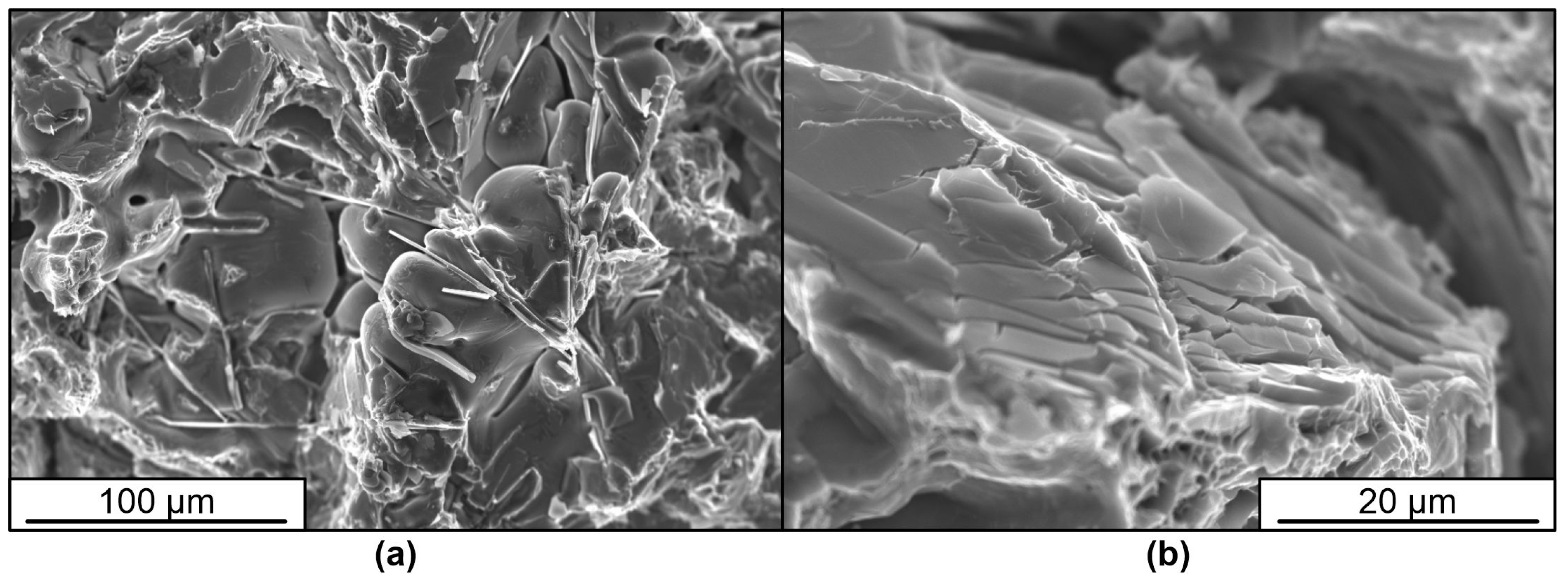 Materials 16 02329 g004