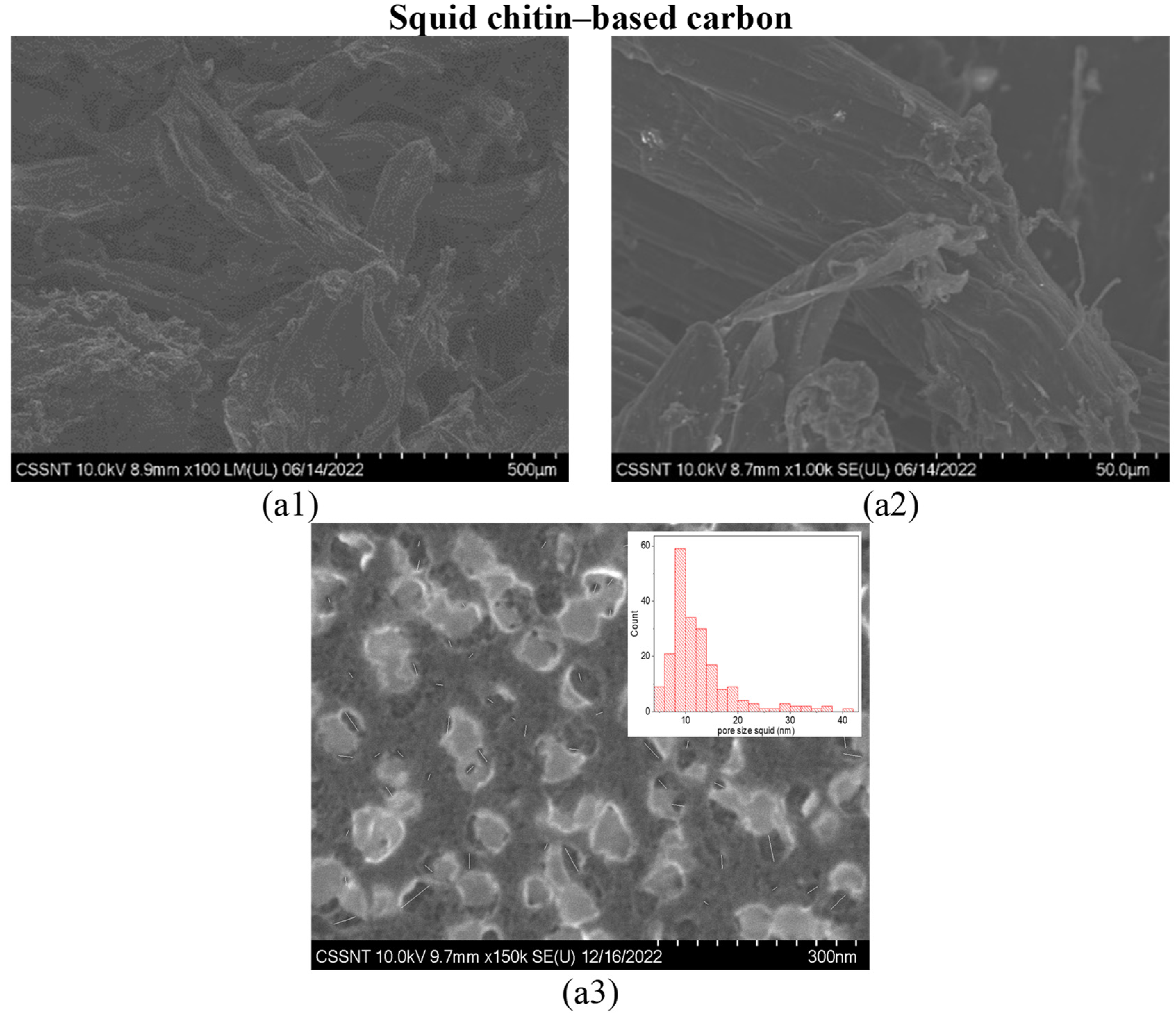 Materials 16 02332 g001 Materials 16 02332 g001