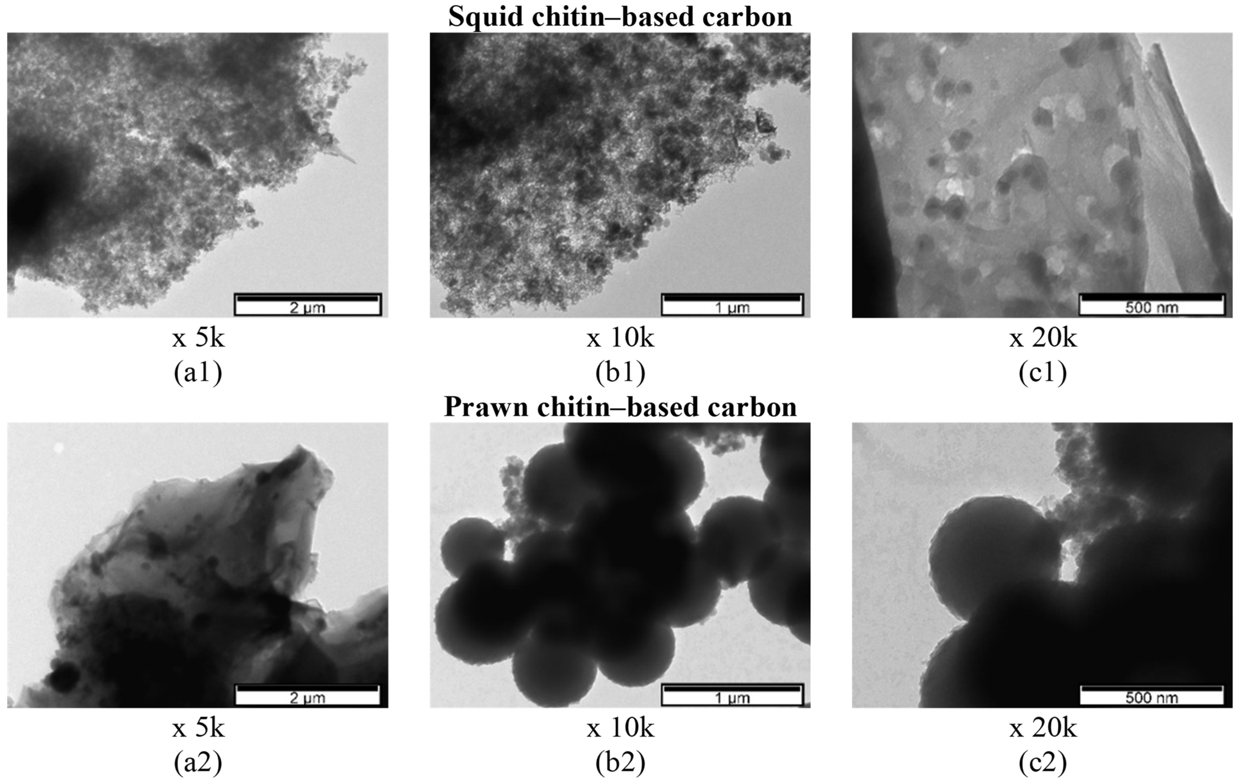 Materials 16 02332 g004 Materials 16 02332 g004