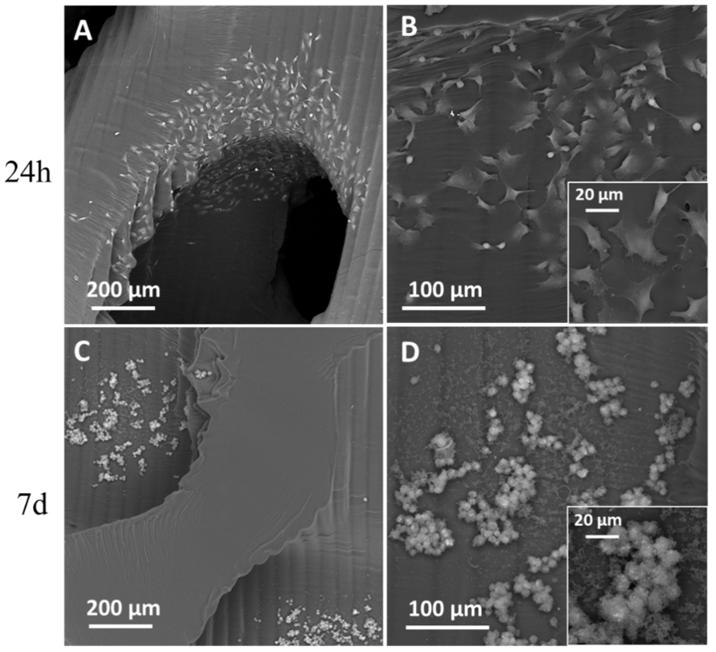 Materials 16 02342 g007 Materials 16 02342 g007