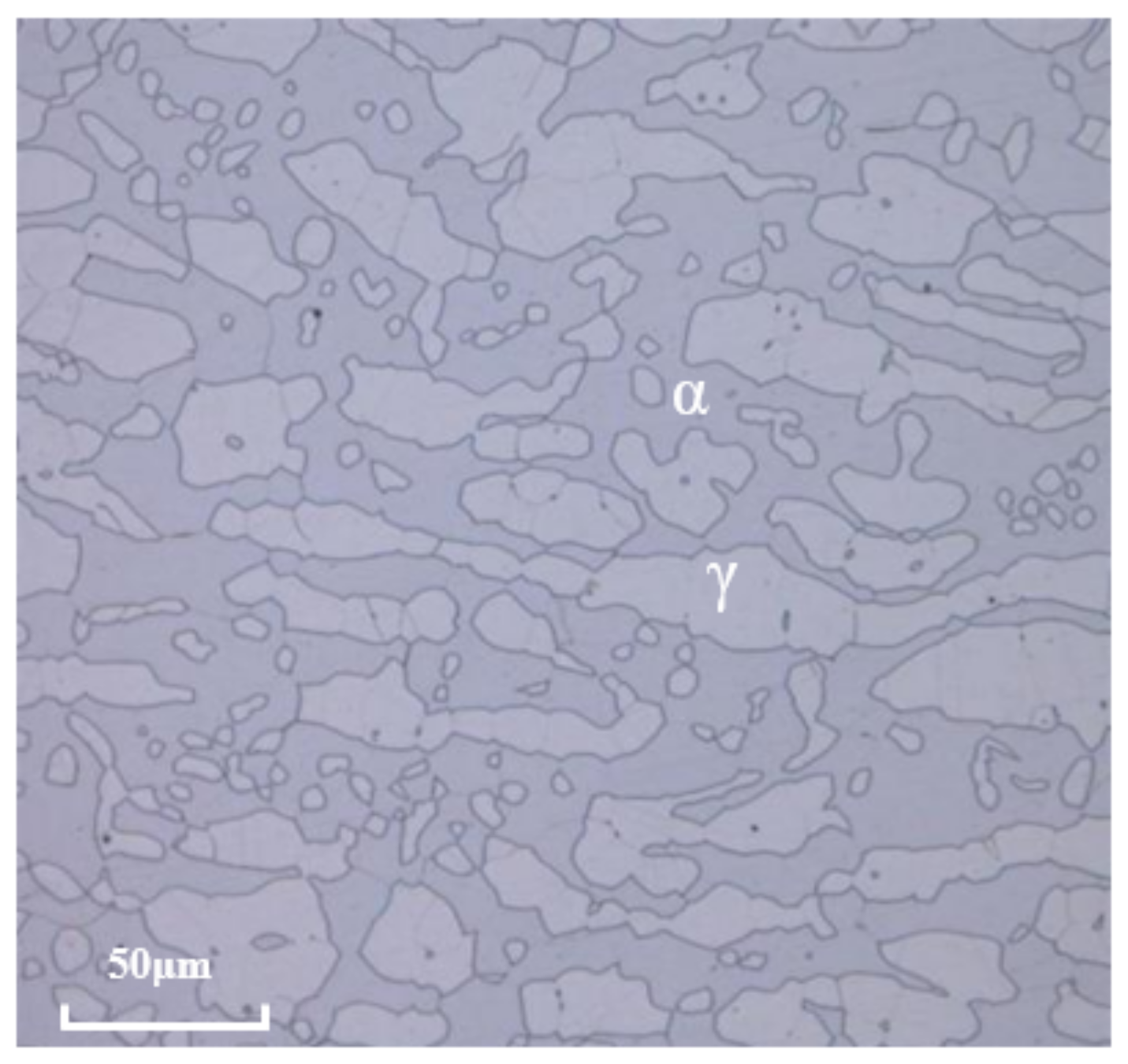 Materials 16 02358 g001