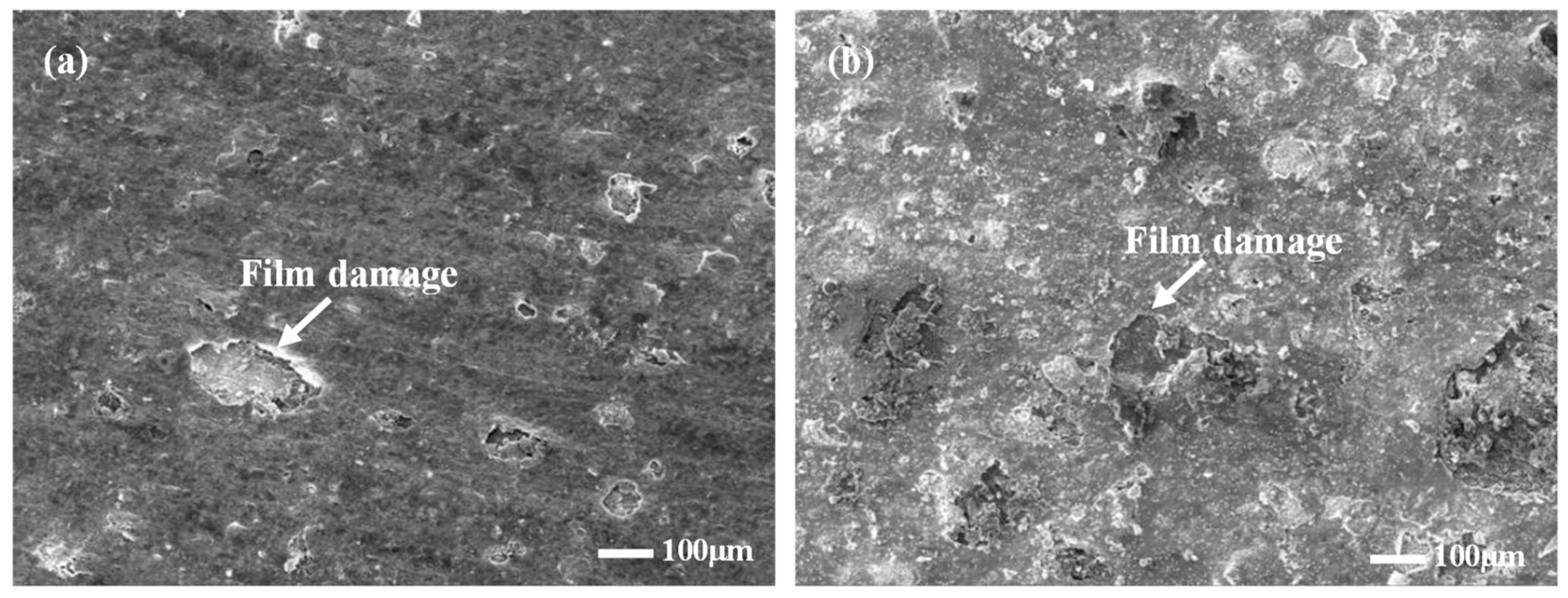 Materials 16 02358 g011