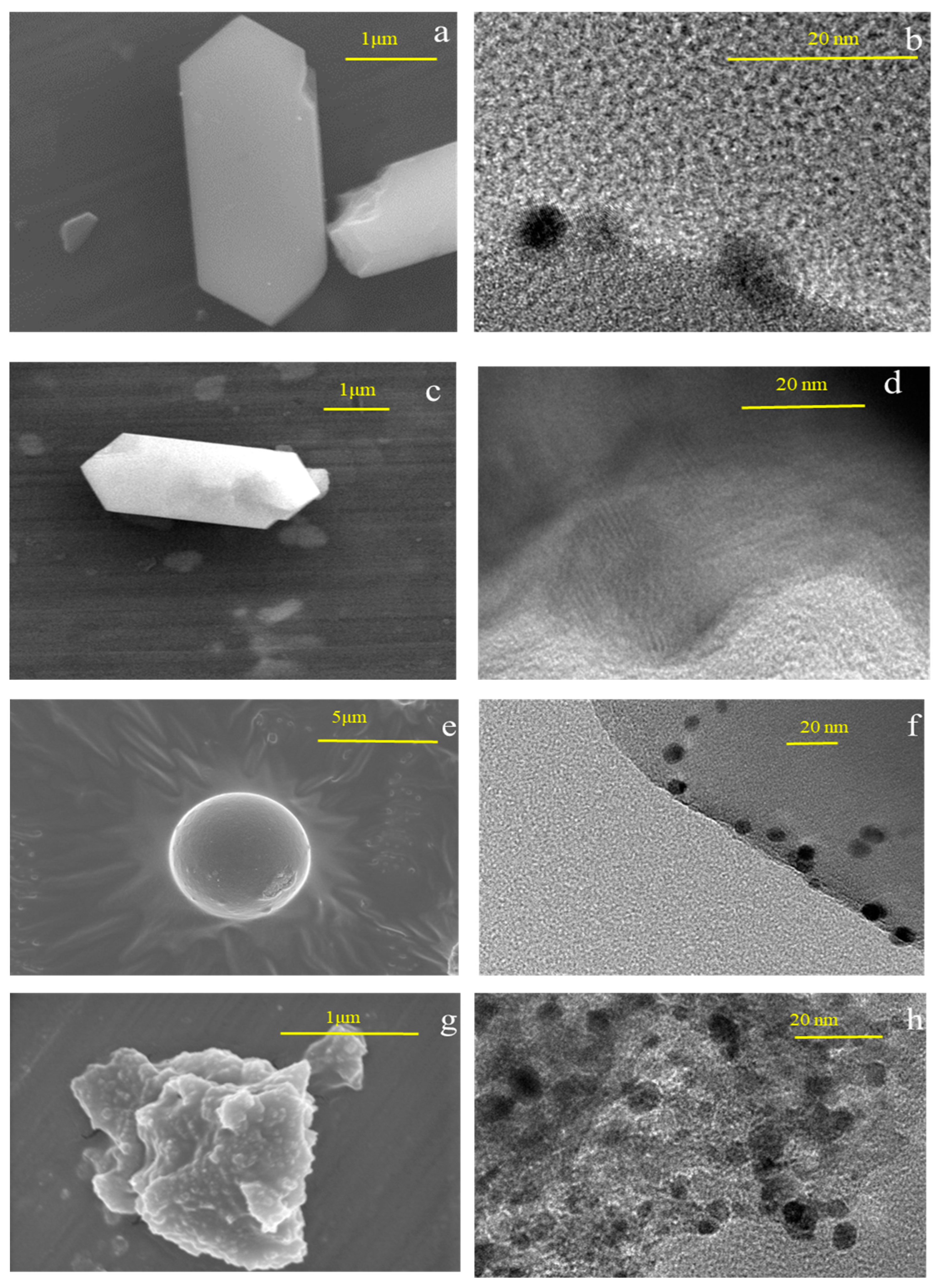 Materials 16 02362 g010 Materials 16 02362 g010