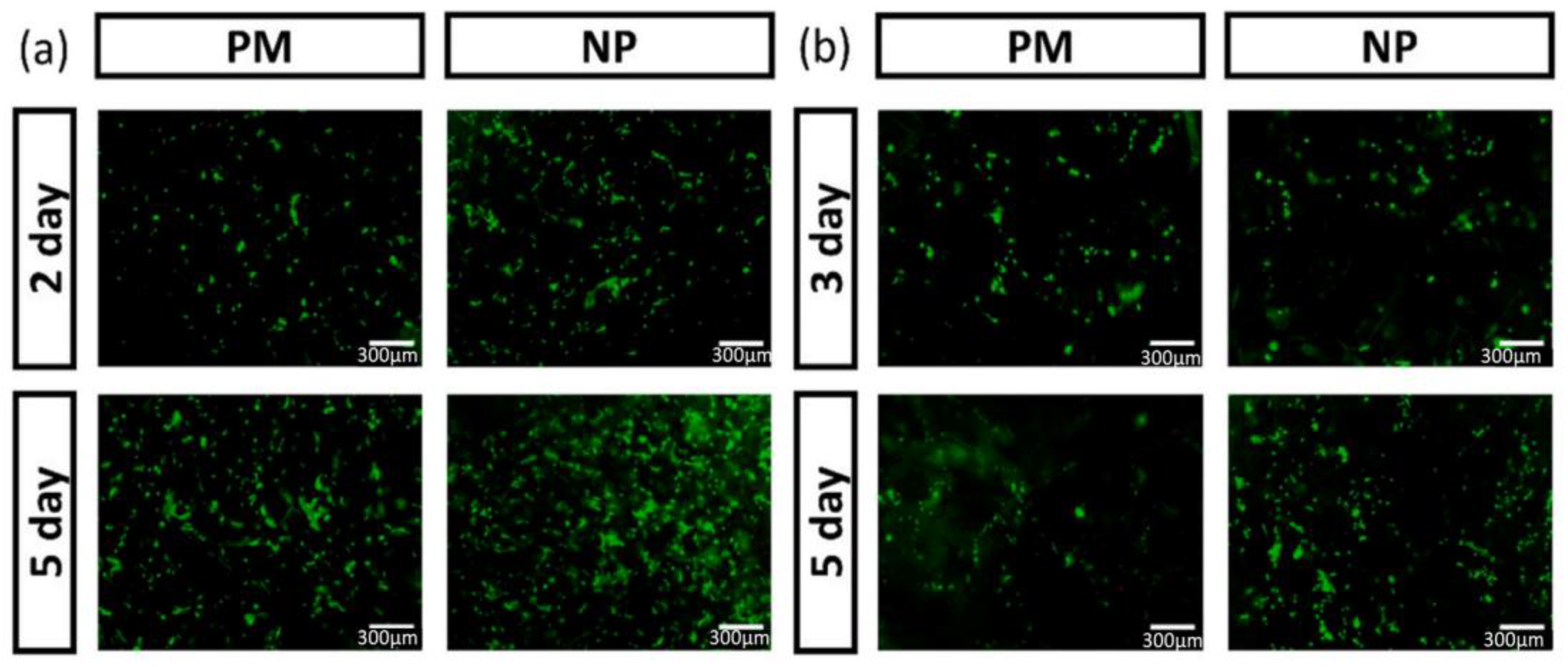 Materials 16 02364 g006