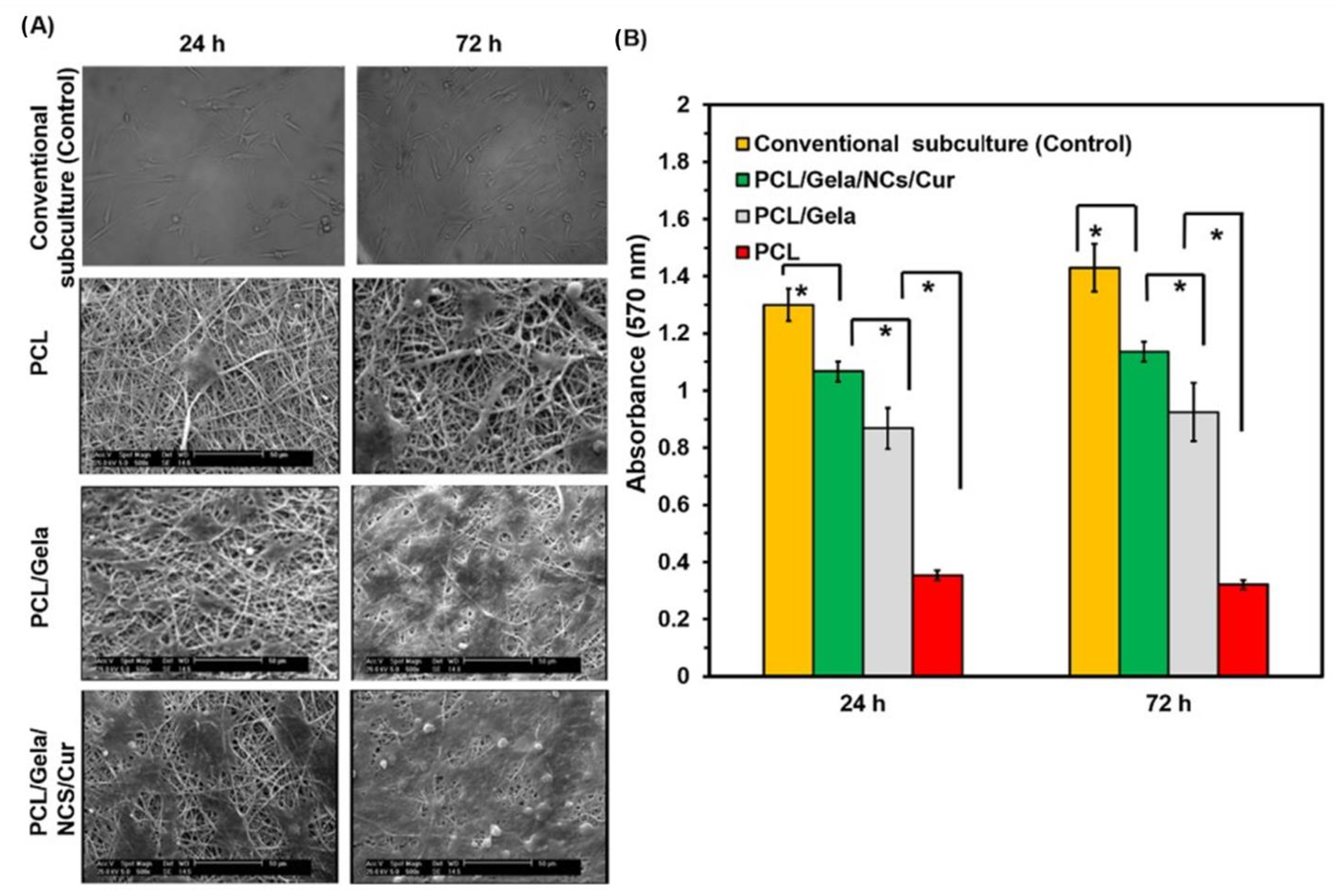 Materials 16 02364 g007
