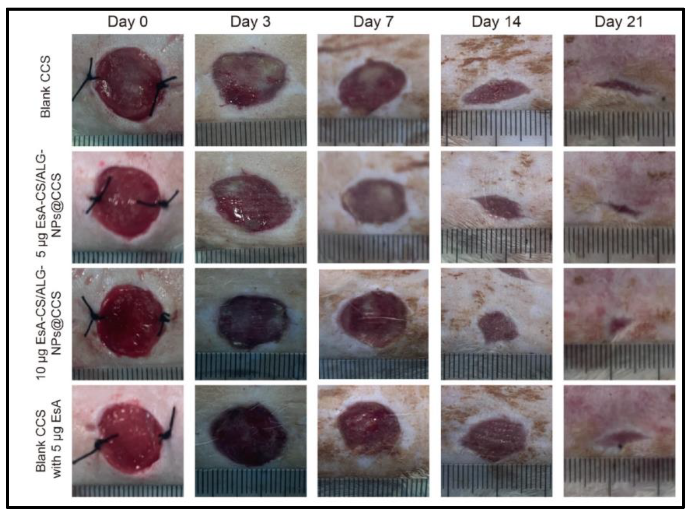 Materials 16 02364 g008