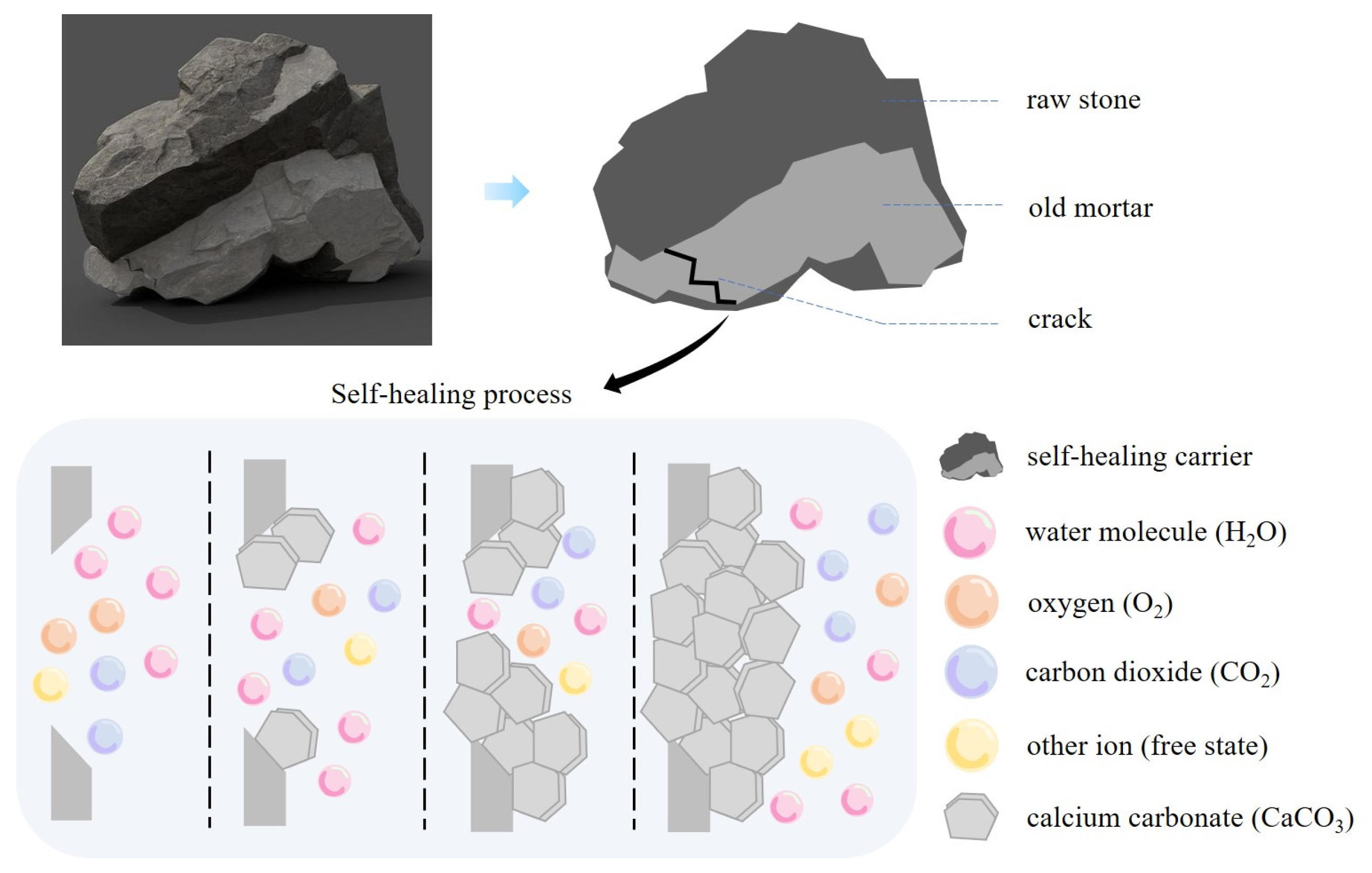 Materials 16 02371 g005