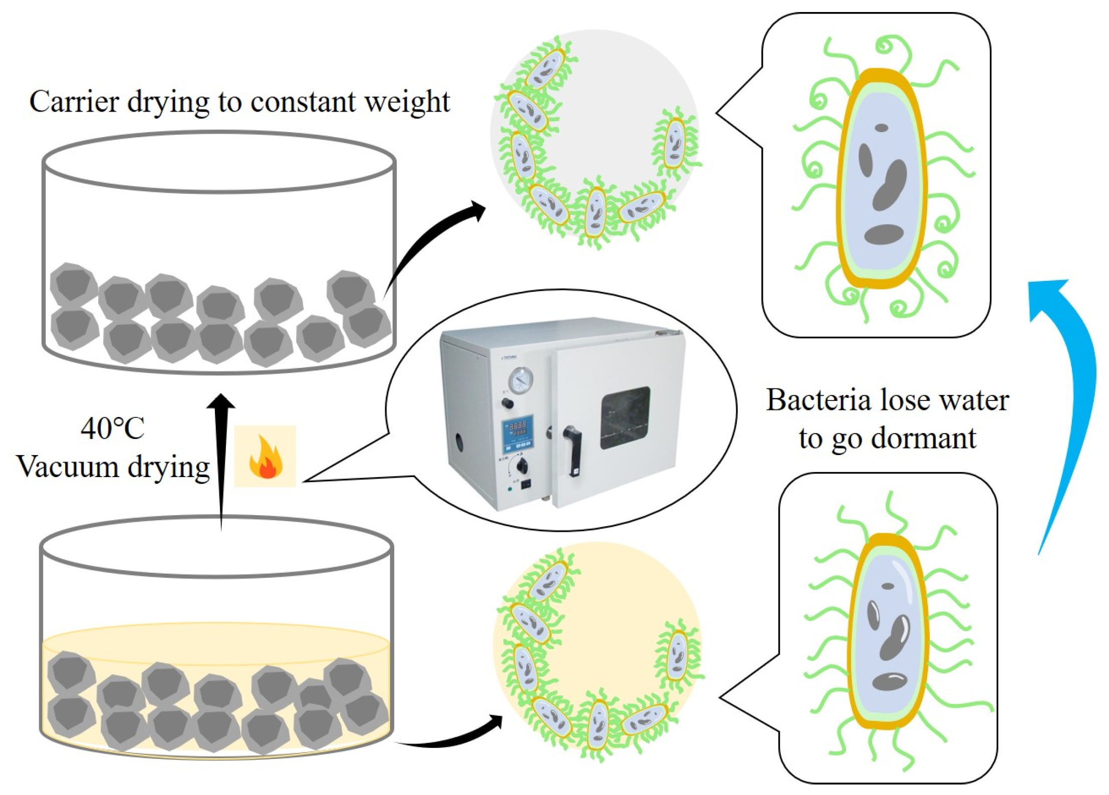 Materials 16 02371 g007