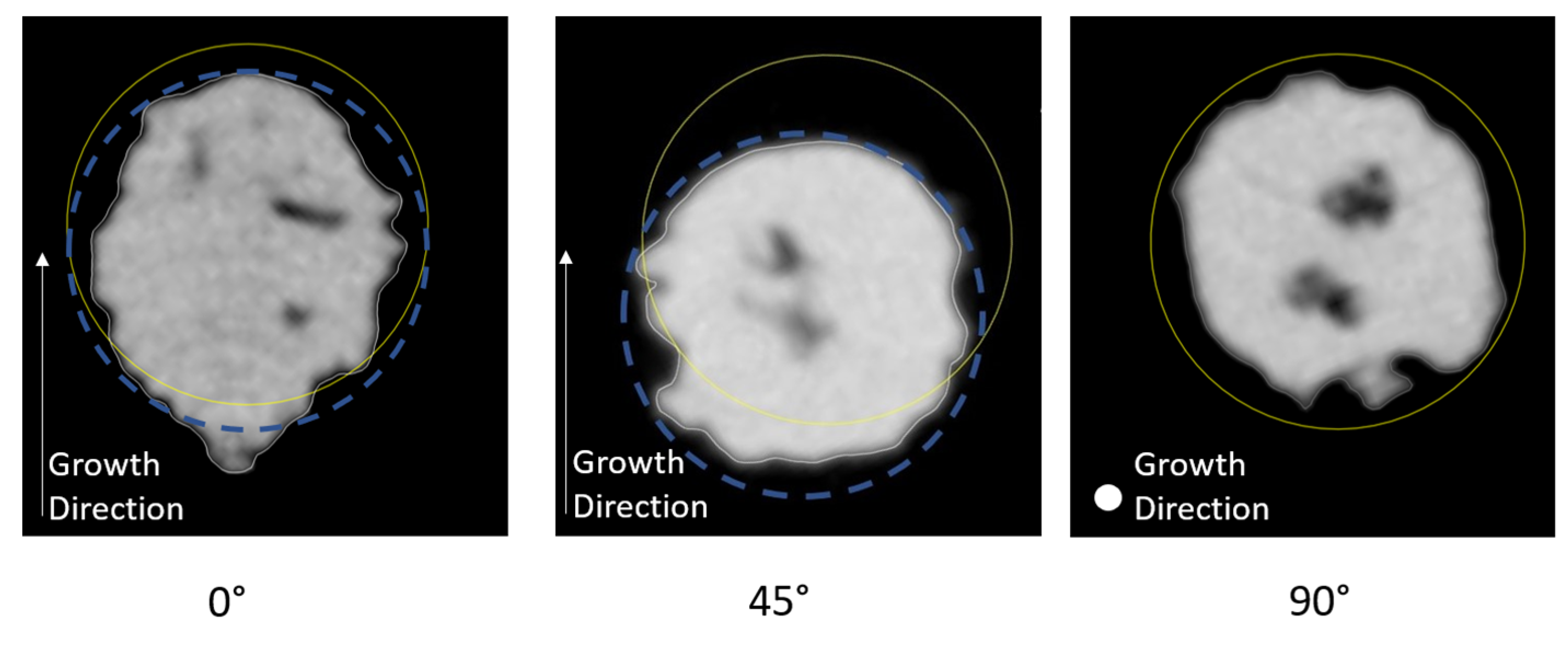 Materials 16 02372 g009