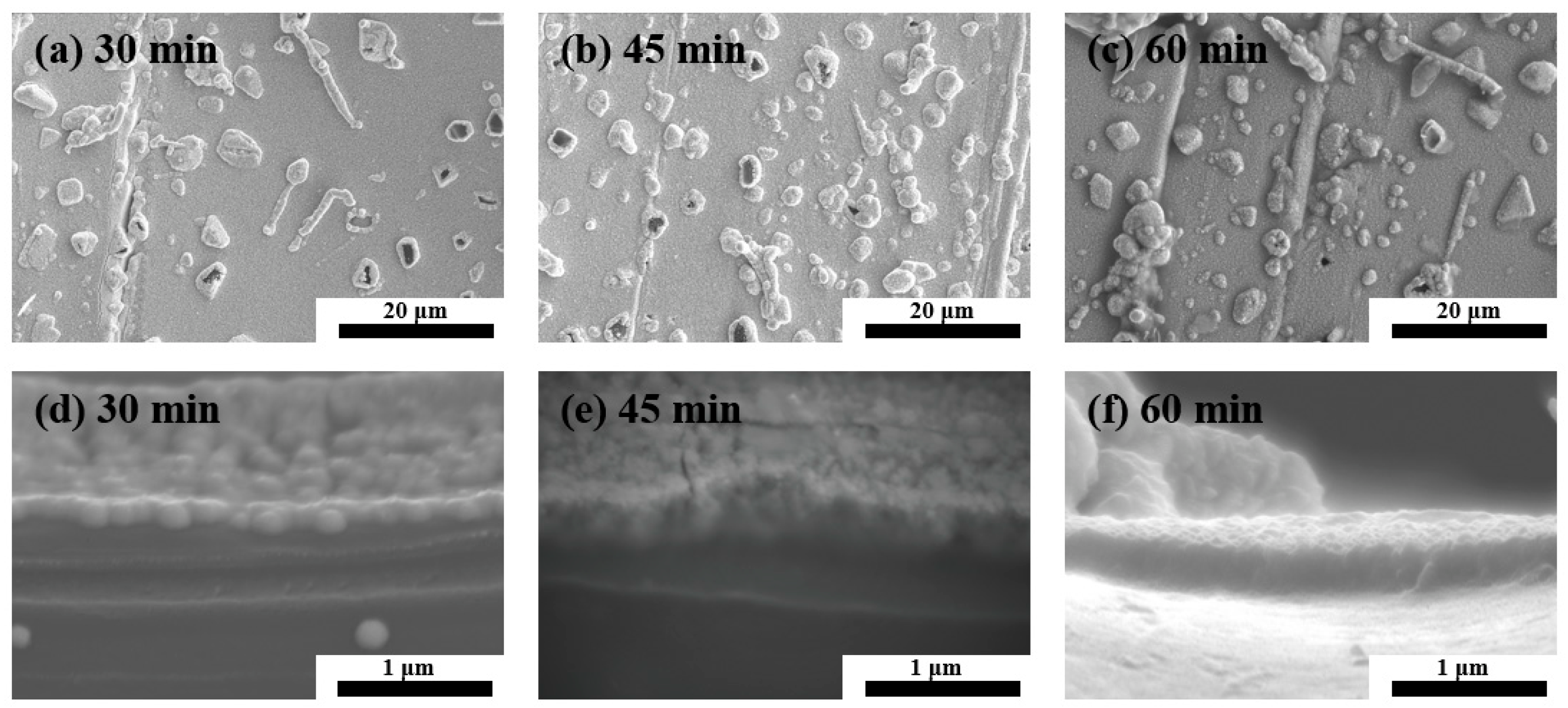 Materials 16 02377 g003