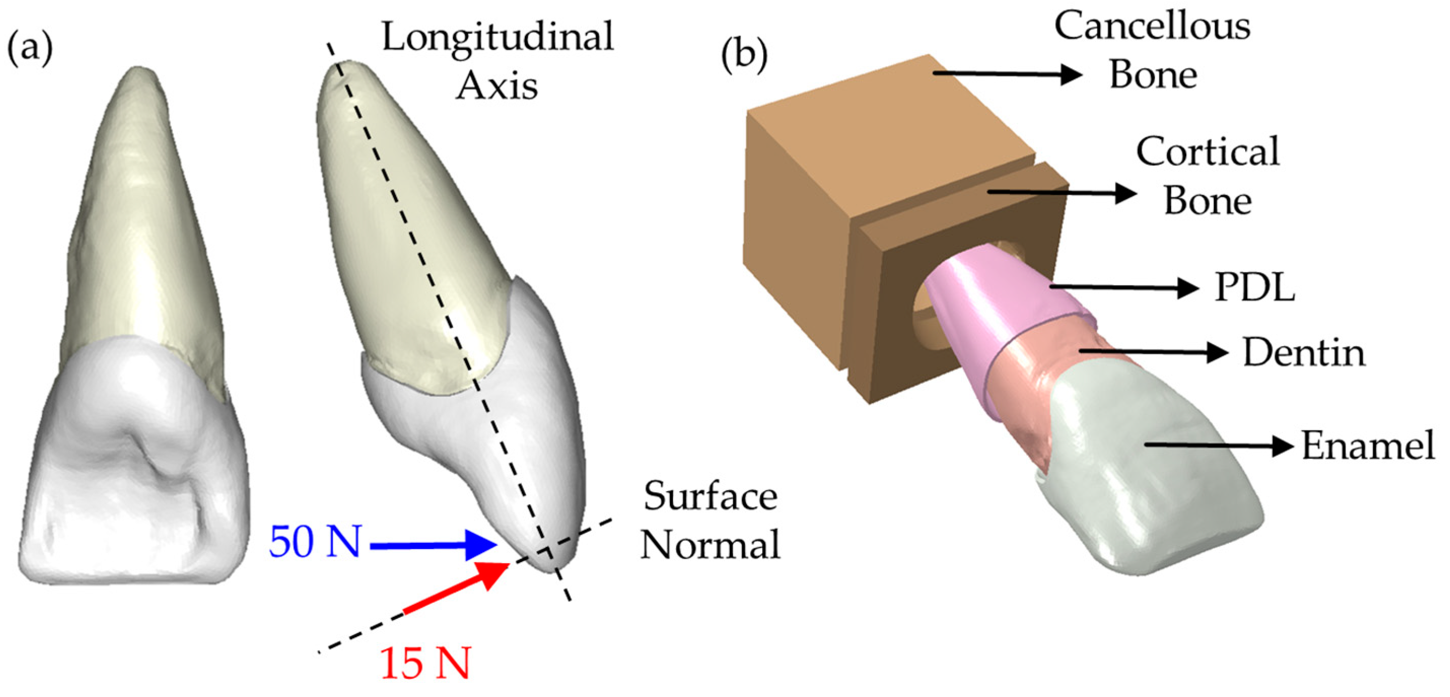 Materials 16 02378 g003