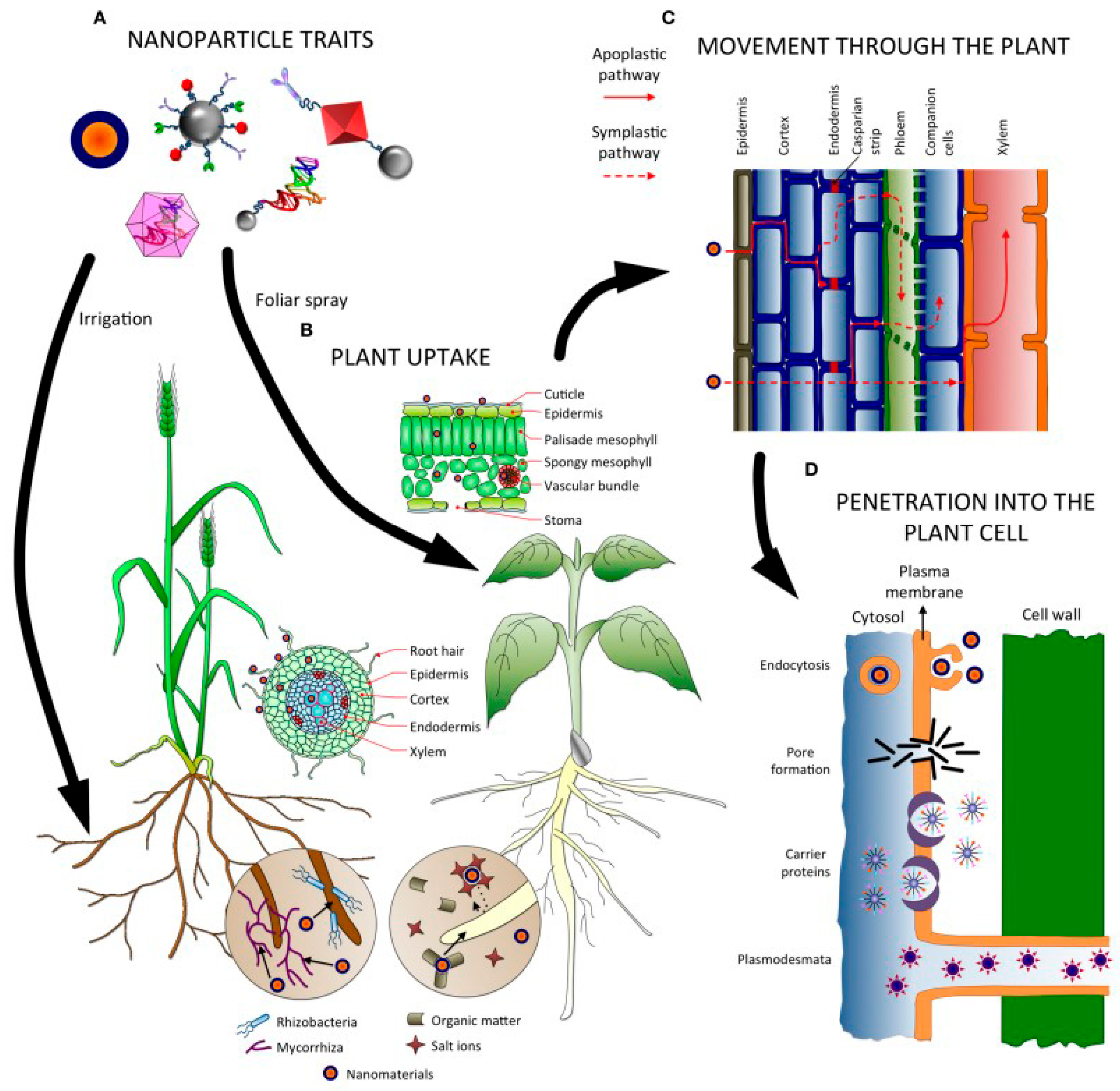 Materials 16 02388 g002