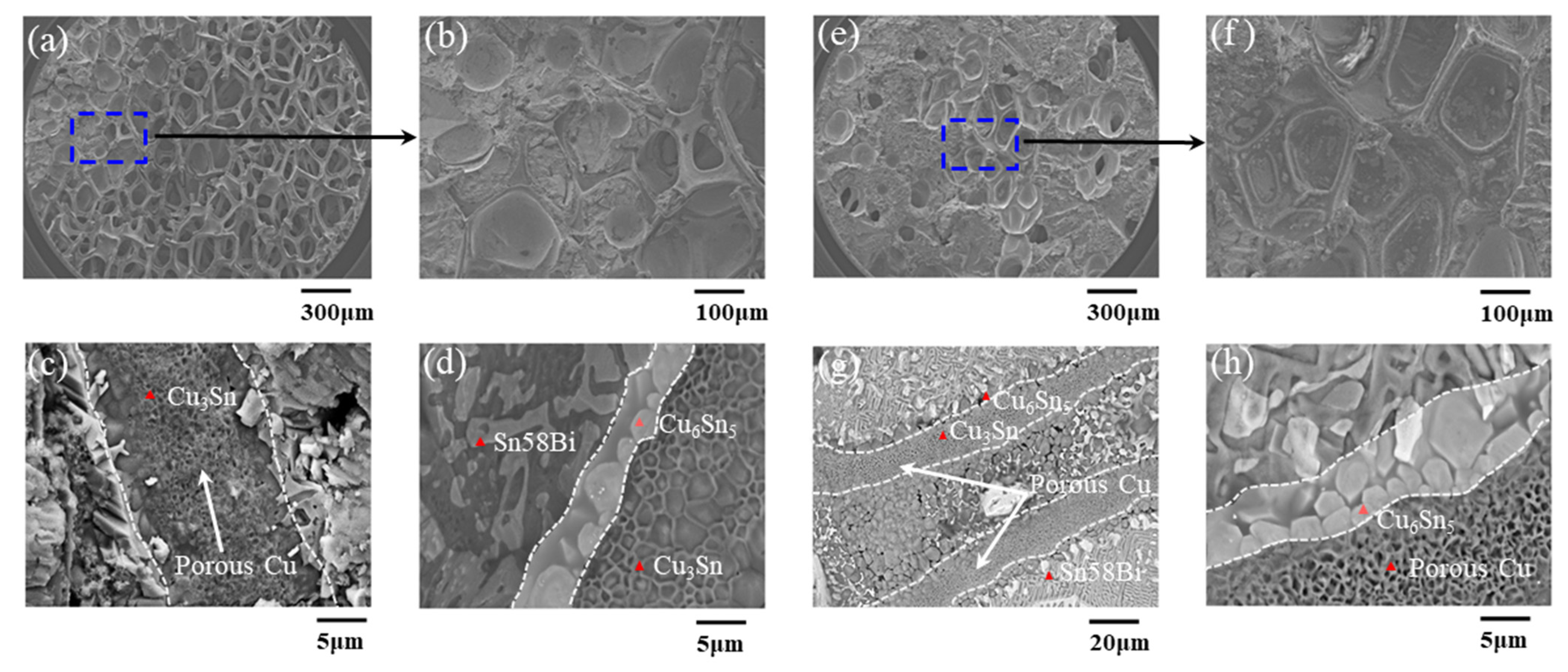 Materials 16 02389 g005