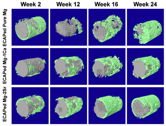 An Overview on the Effect of Severe Plastic Deformation on