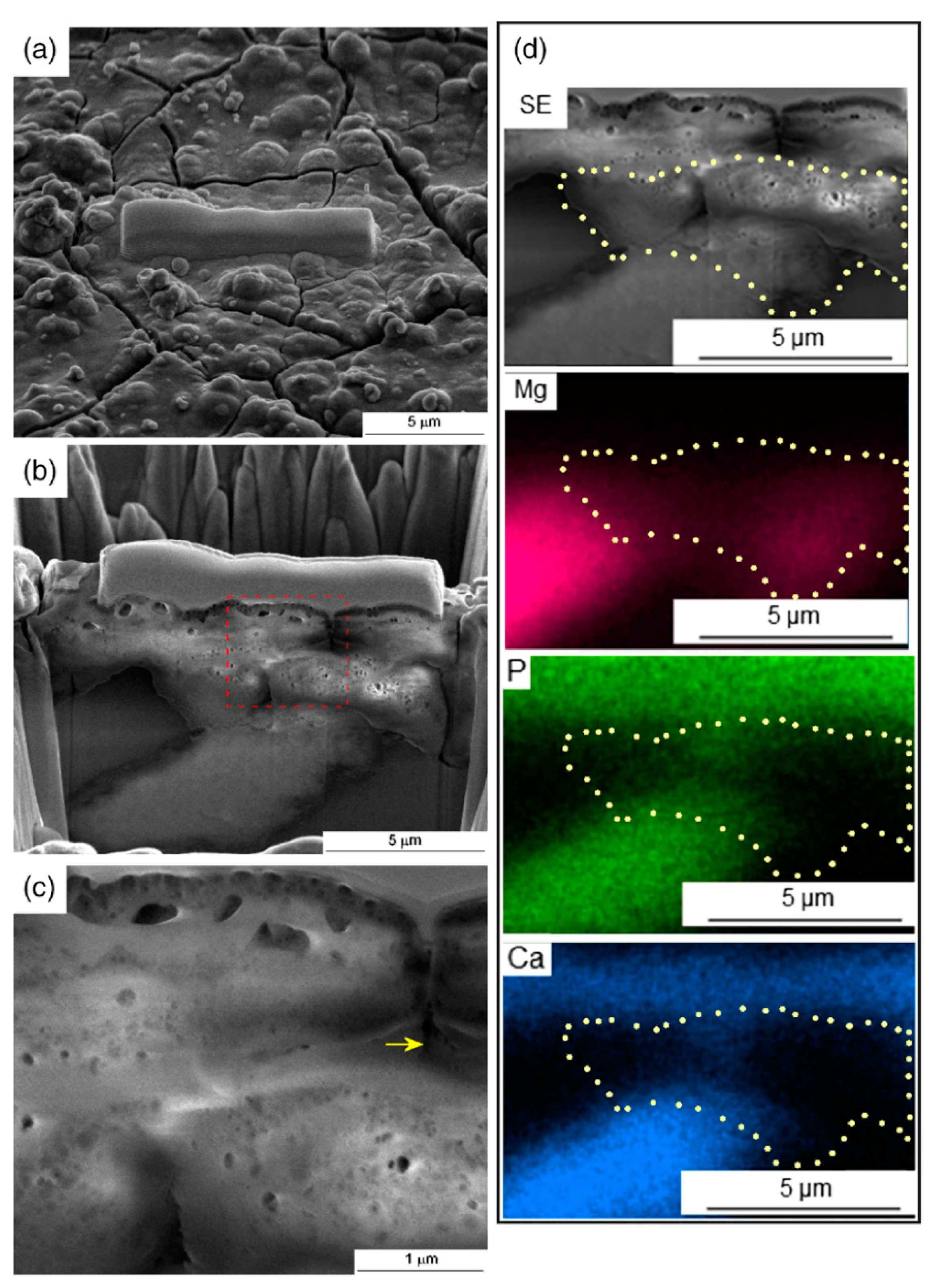 Materials | Free Full-Text | An Overview on the Effect of Severe 