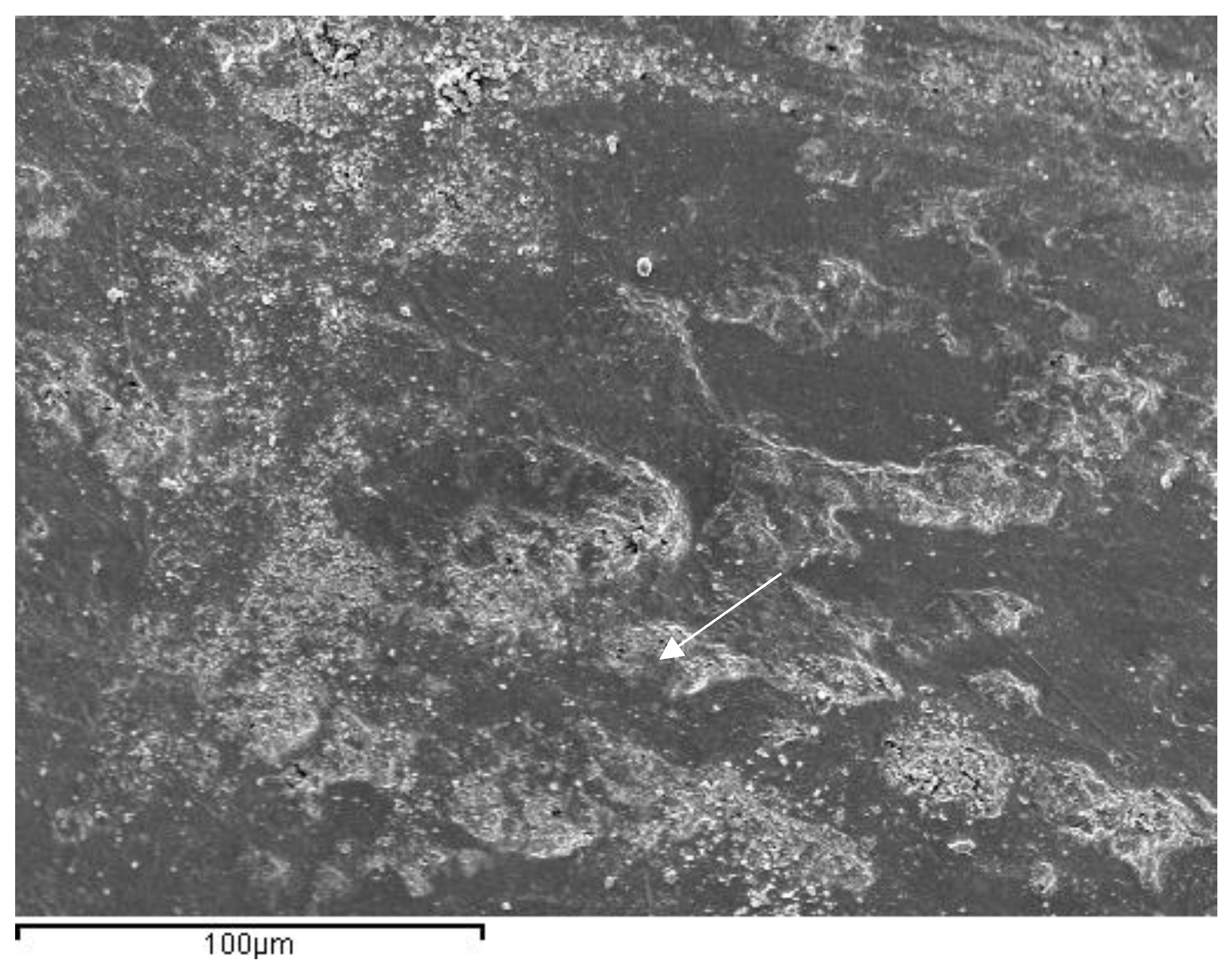 Materials 16 02403 g008 Materials 16 02403 g008