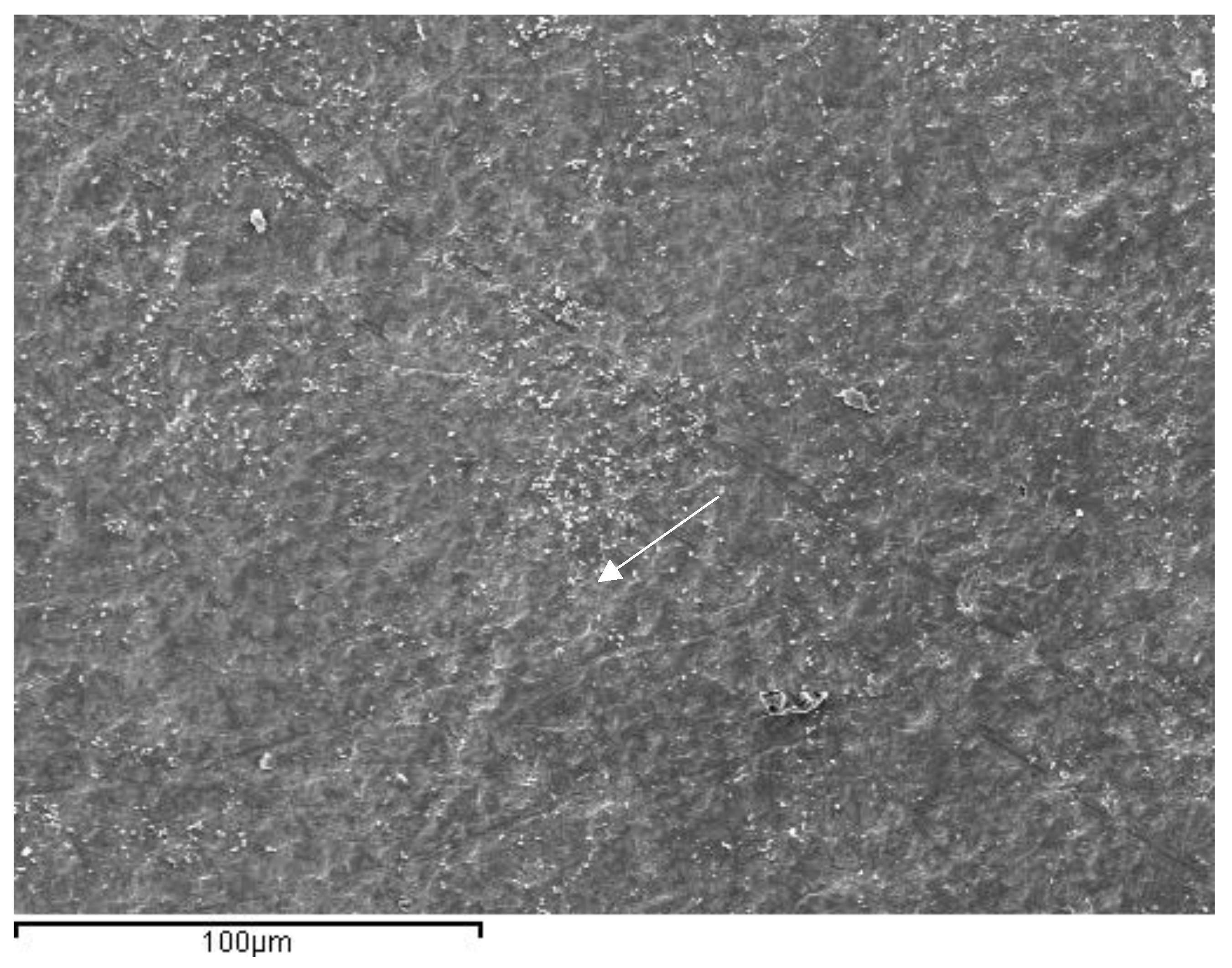 Materials 16 02403 g009 Materials 16 02403 g009