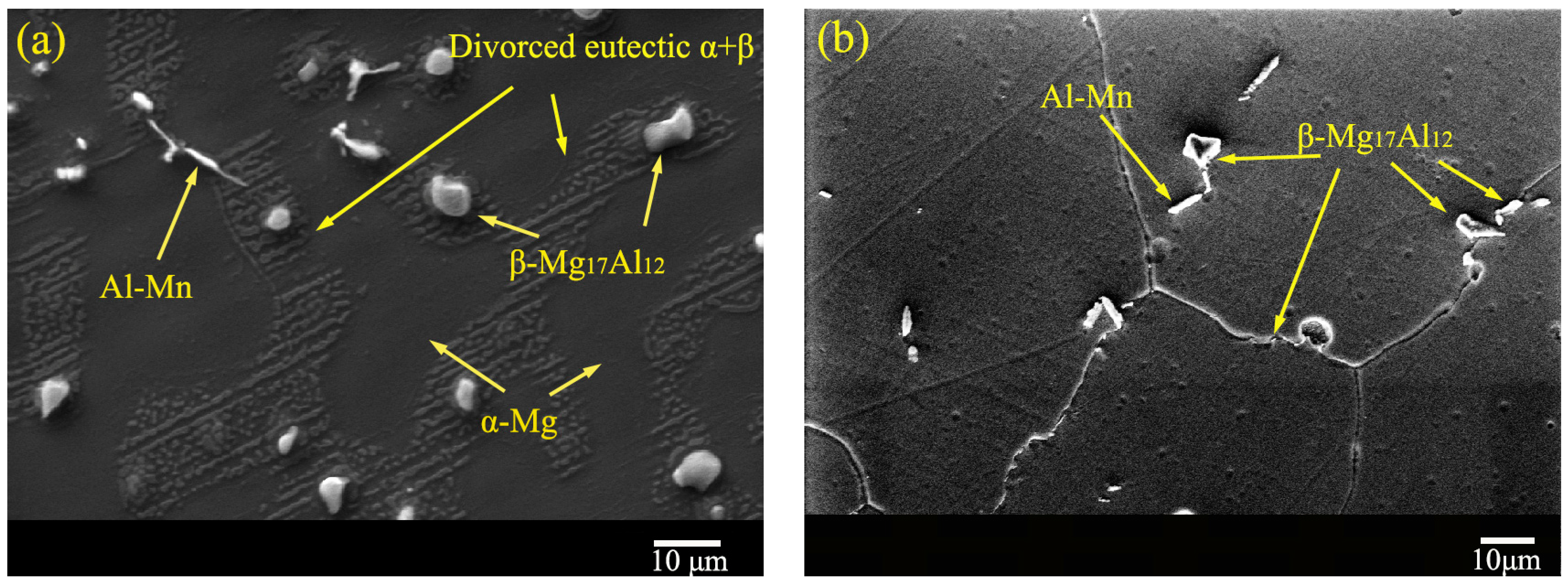 Materials 16 02406 g003