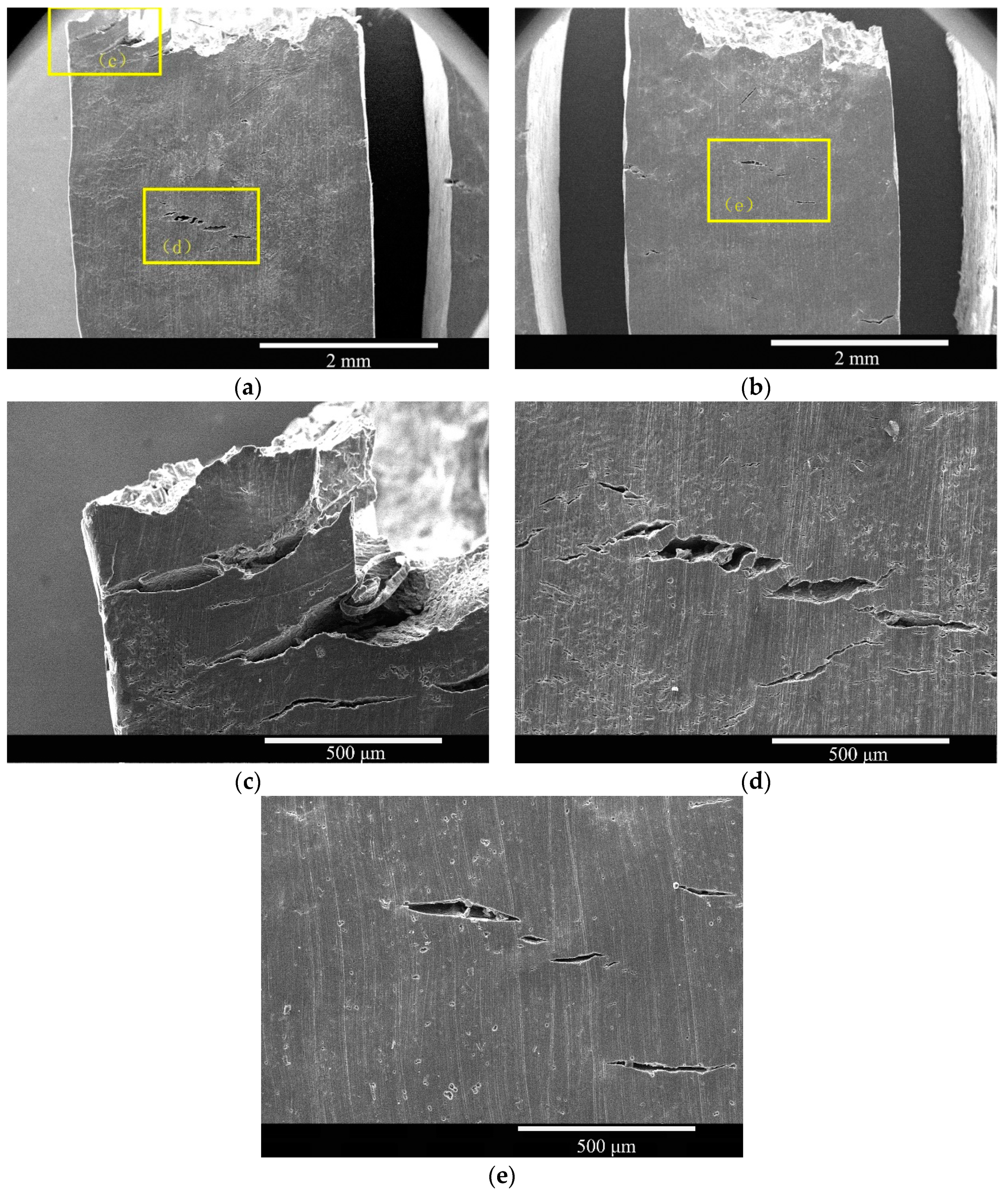 Materials 16 02406 g007