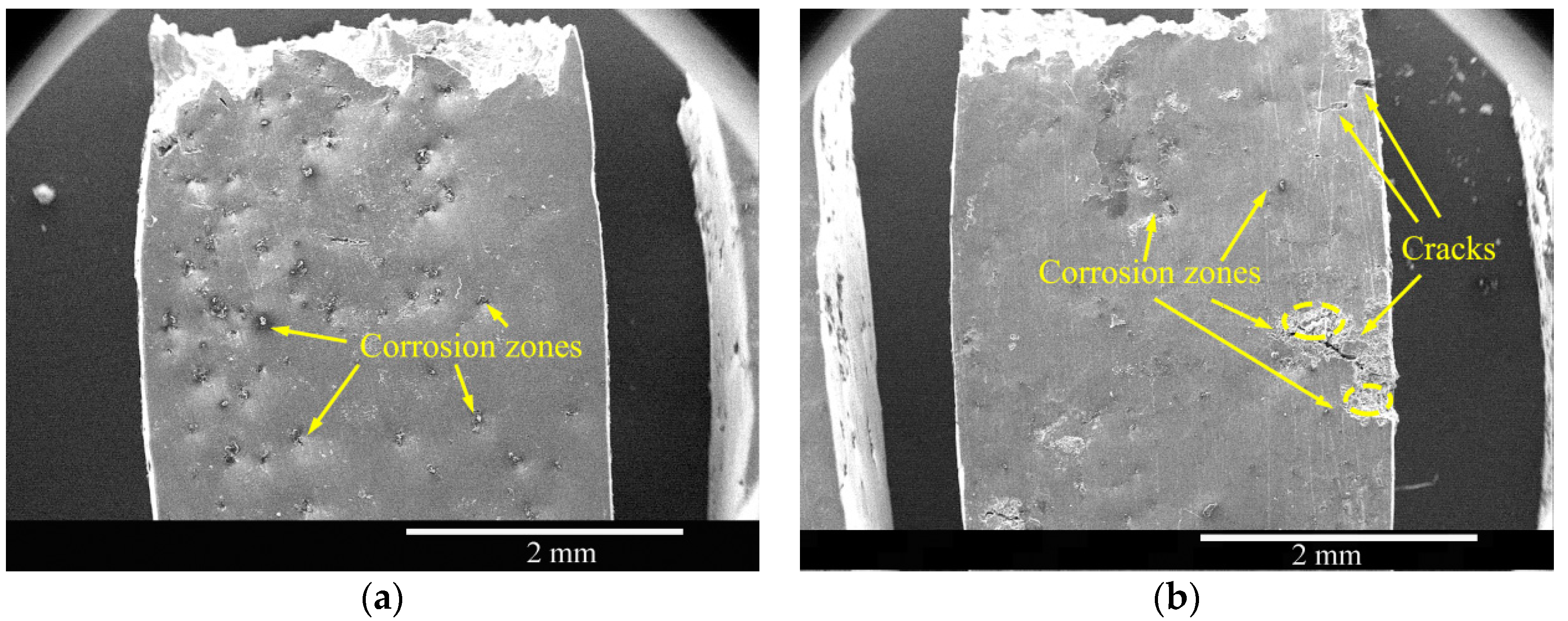 Materials 16 02406 g009