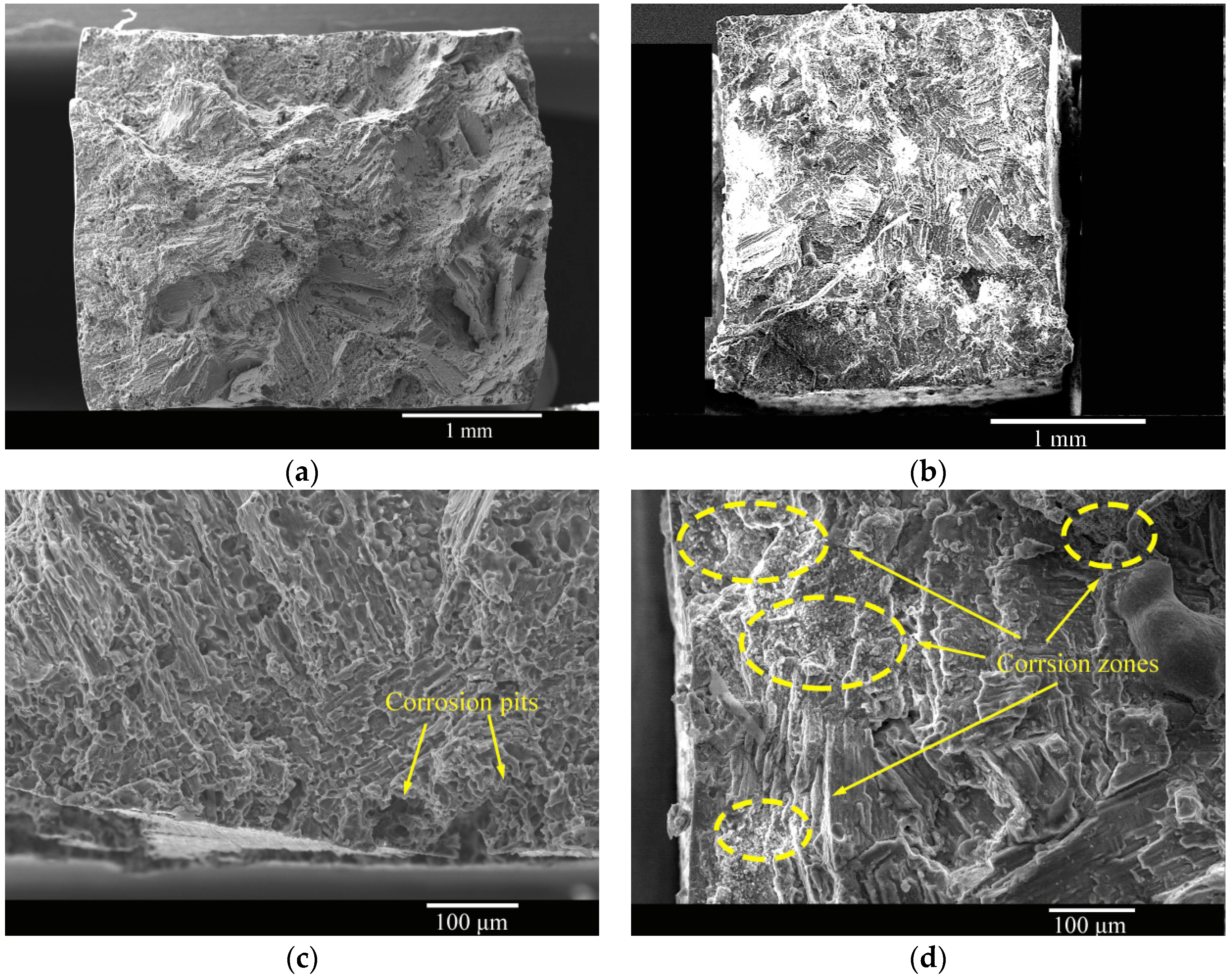Materials 16 02406 g011